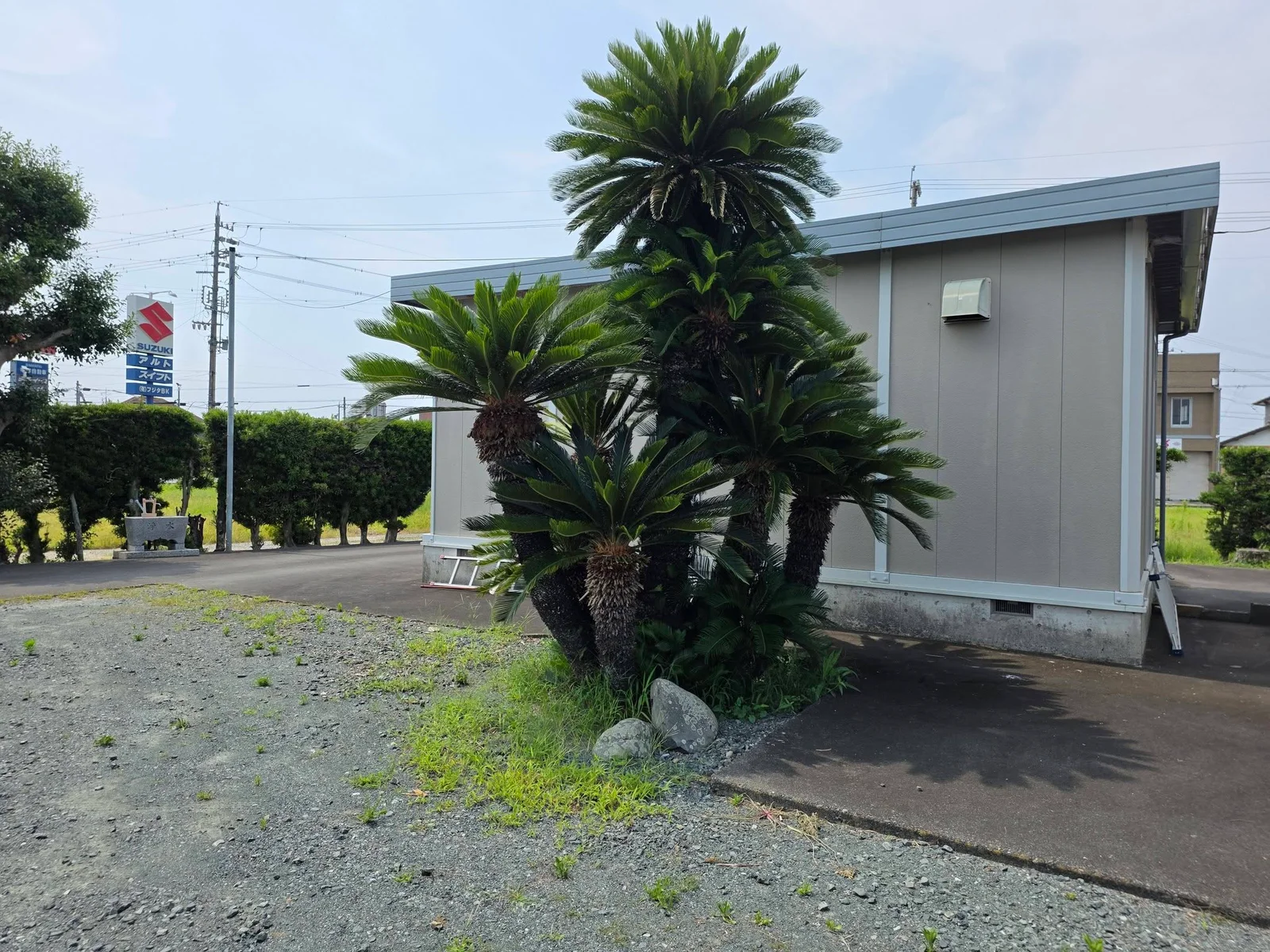 磐田市白羽の智教院現況記録6