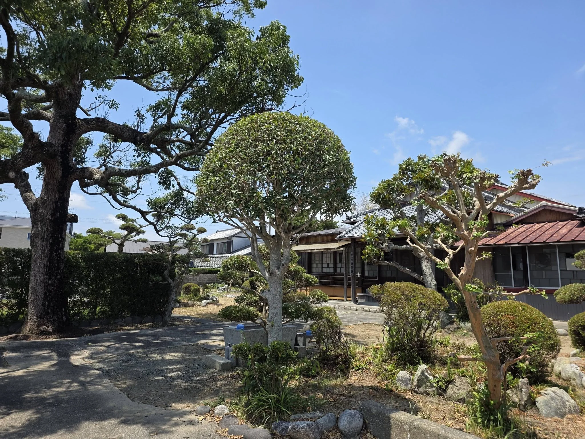 長泉寺の本堂と境内植栽