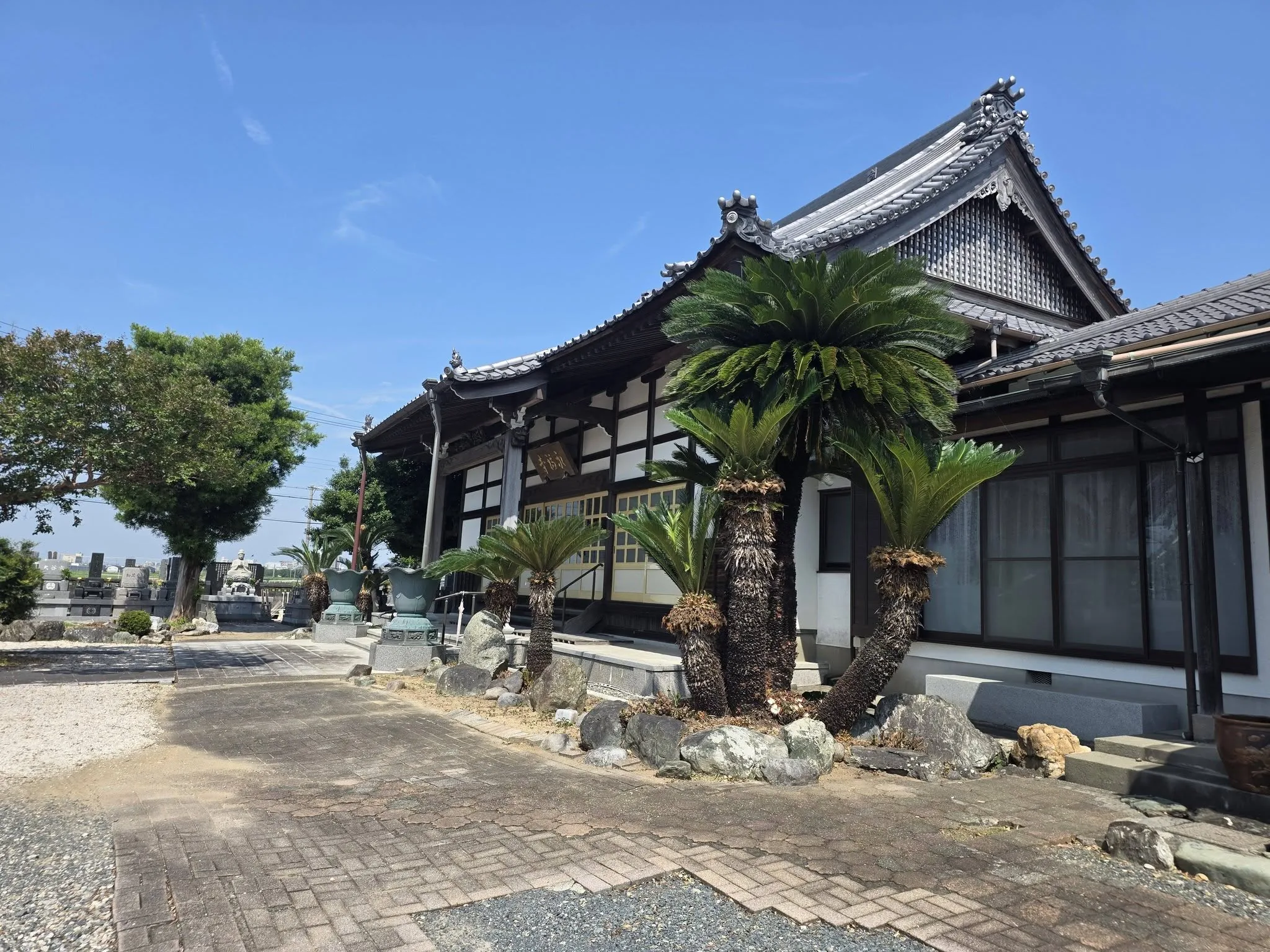 ソテツ越しに見る永福寺本堂