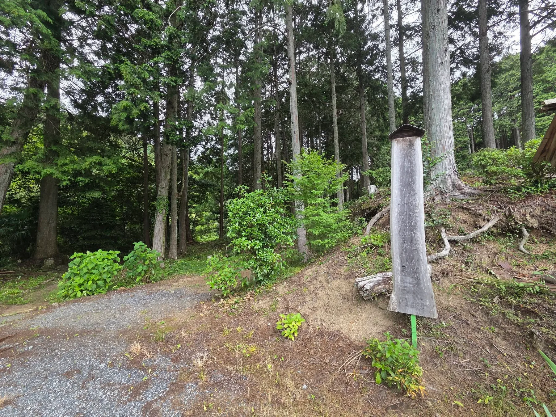 圓通寺の現地写真3