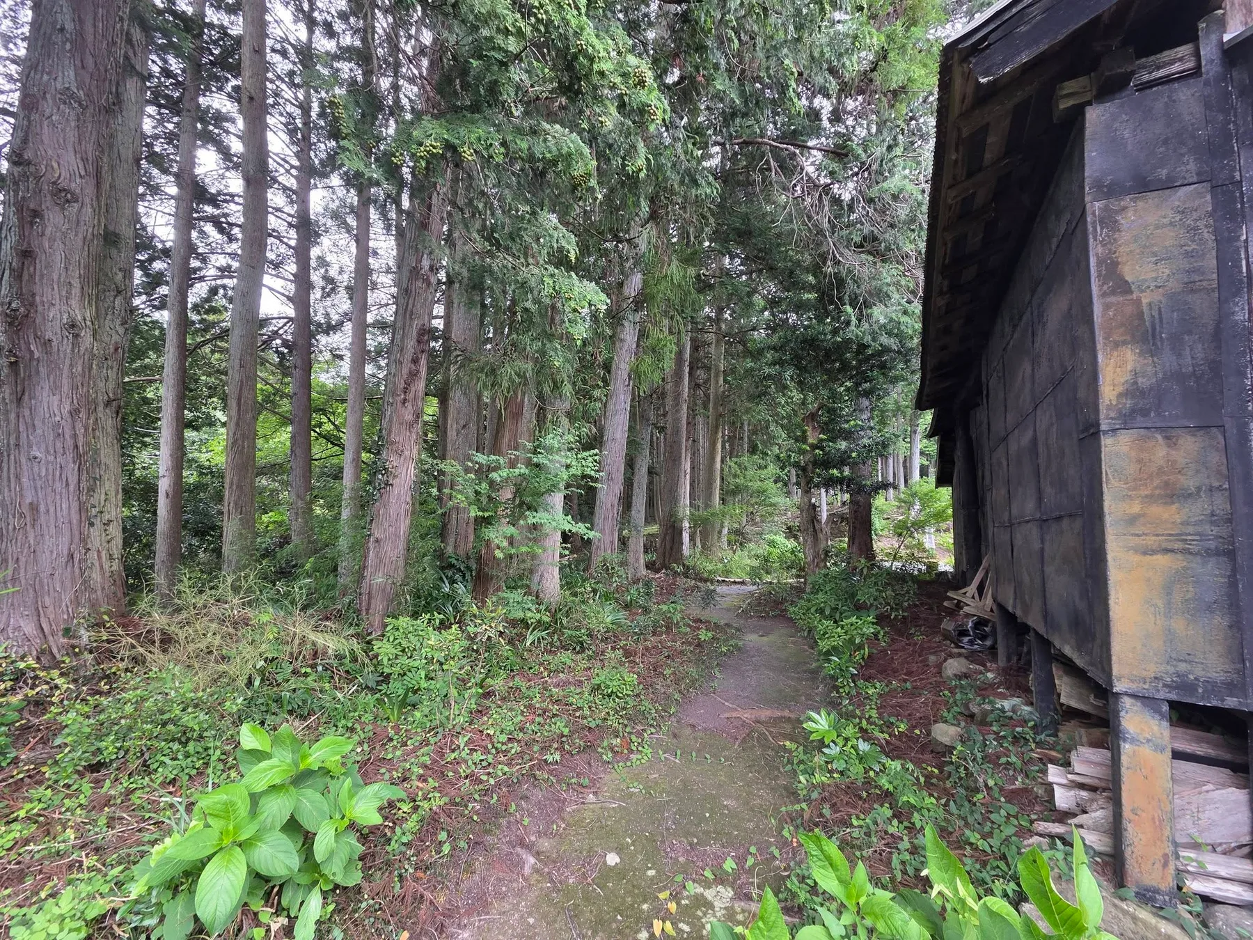 圓通寺の現地写真4