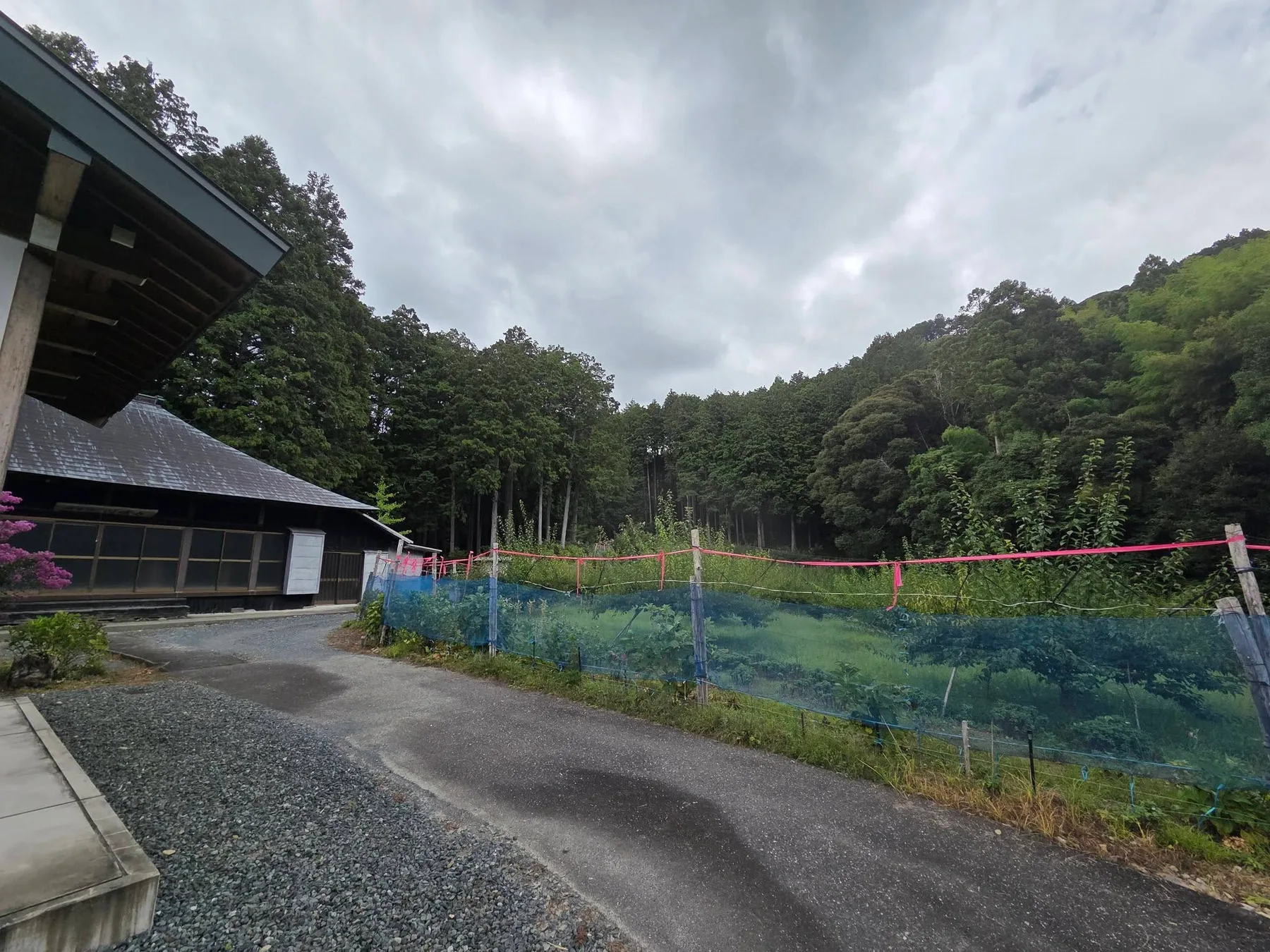 圓通寺の現地写真5