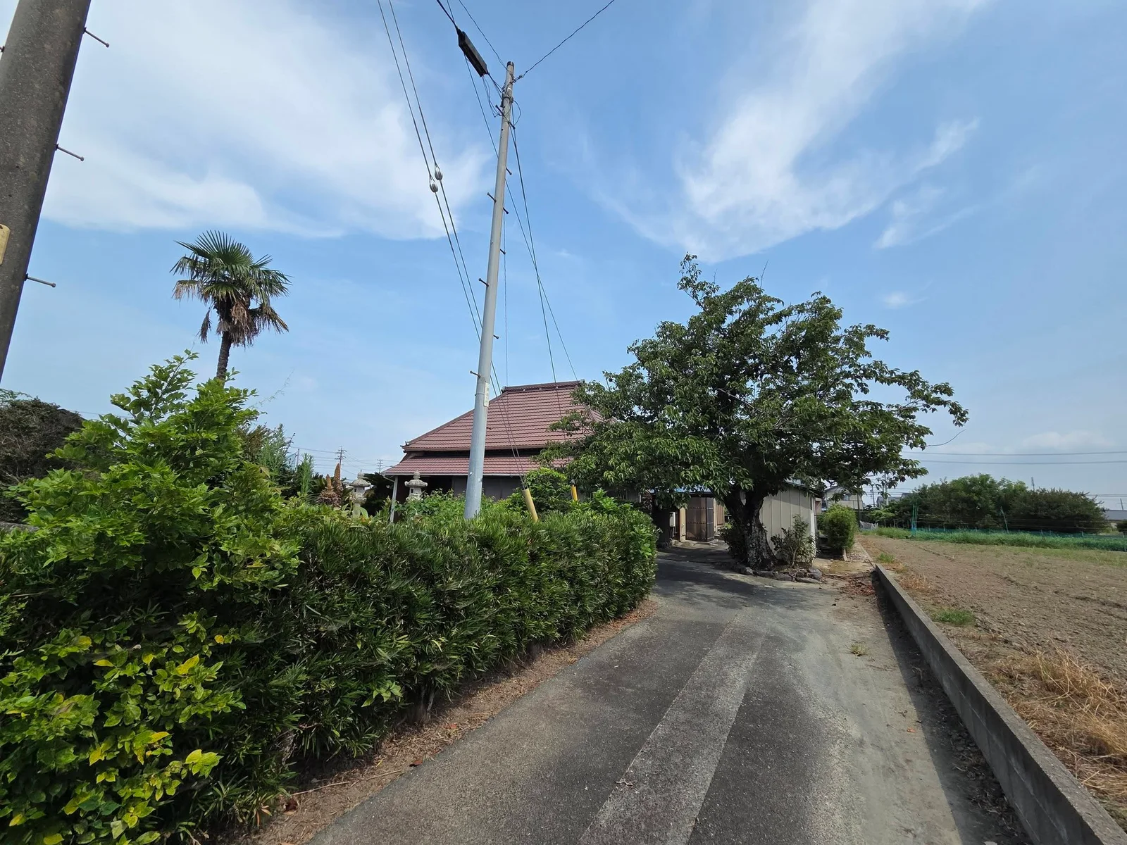 田畑側から見る福生寺への進入路
