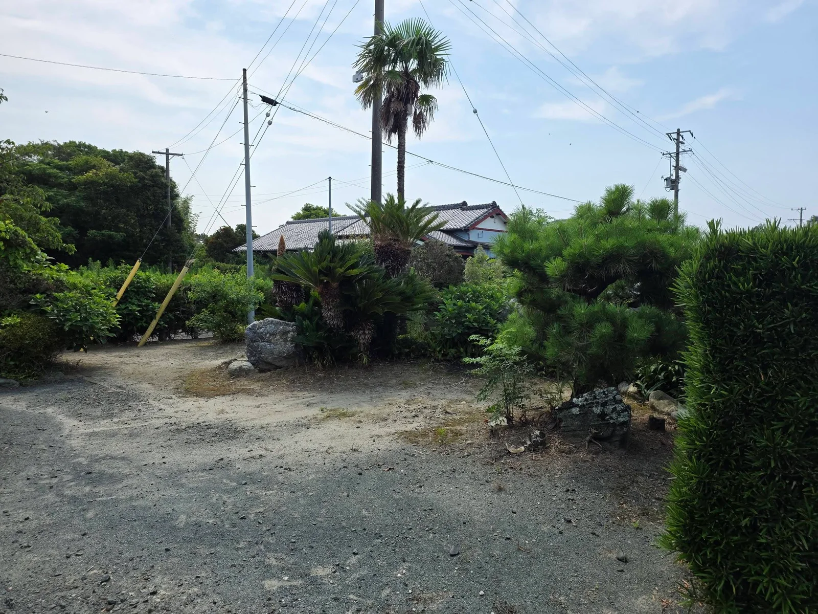 福生寺境内の植栽と周辺集落