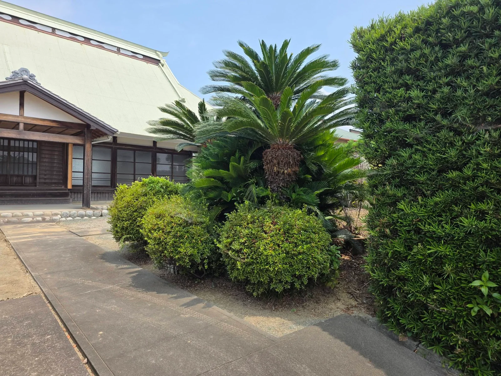 願成寺本堂前の参道と植栽