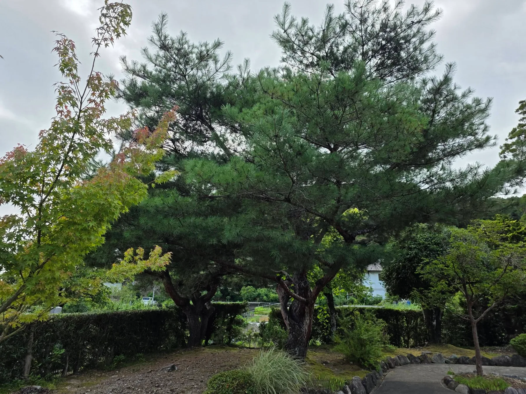 法音庵の現地写真10
