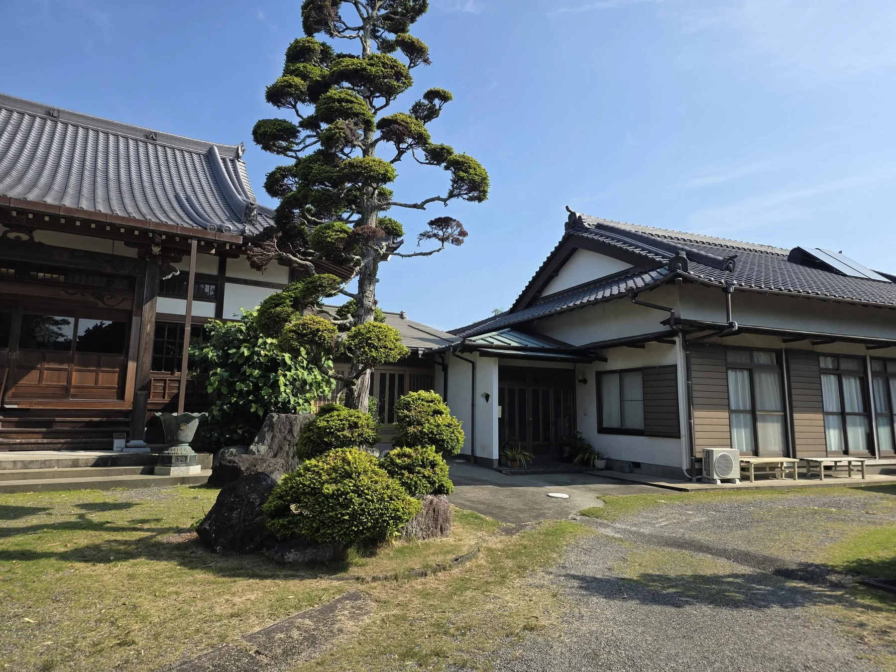 法雲寺本堂脇の境内