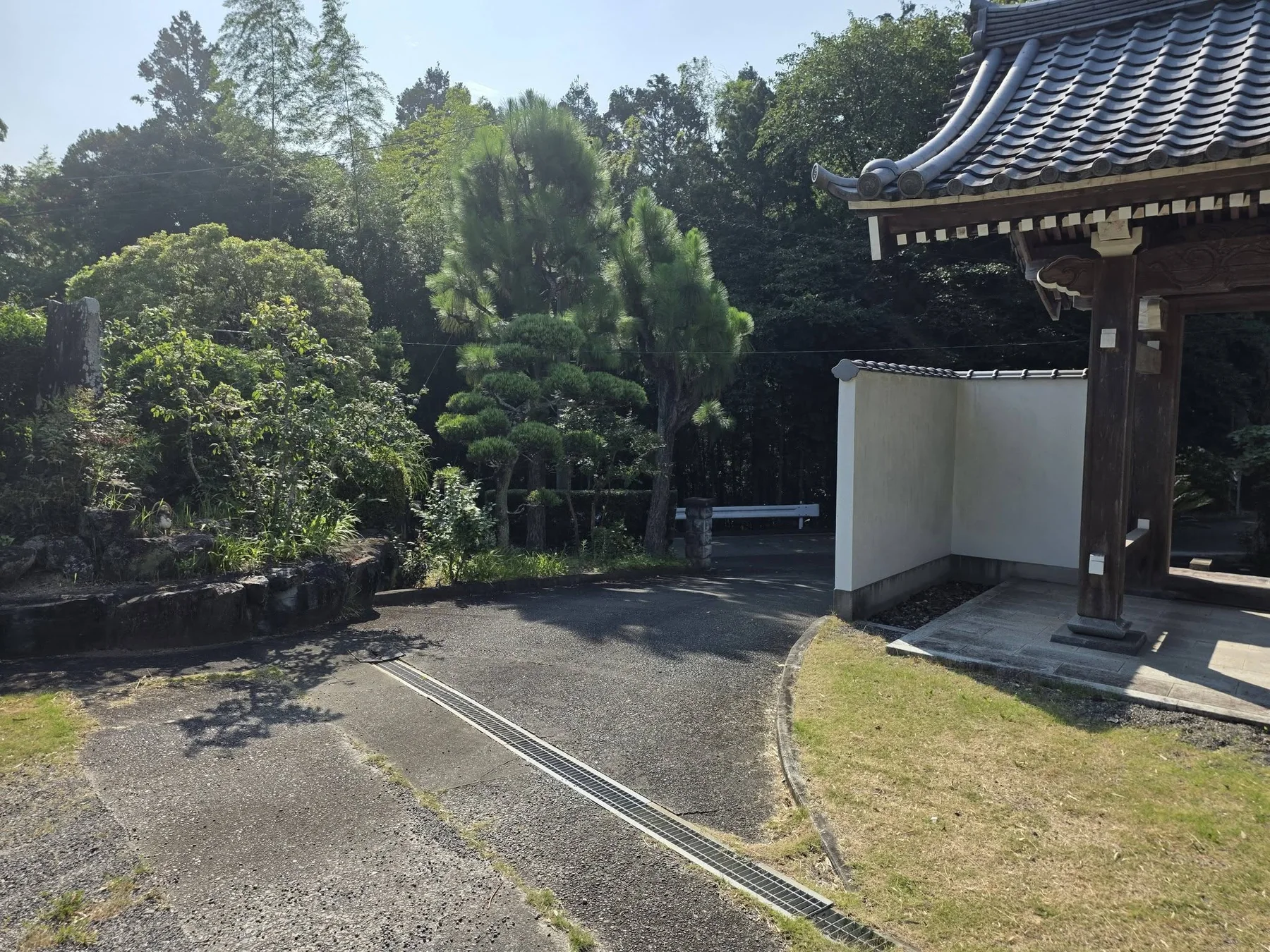 法雲寺境内の参道と植栽