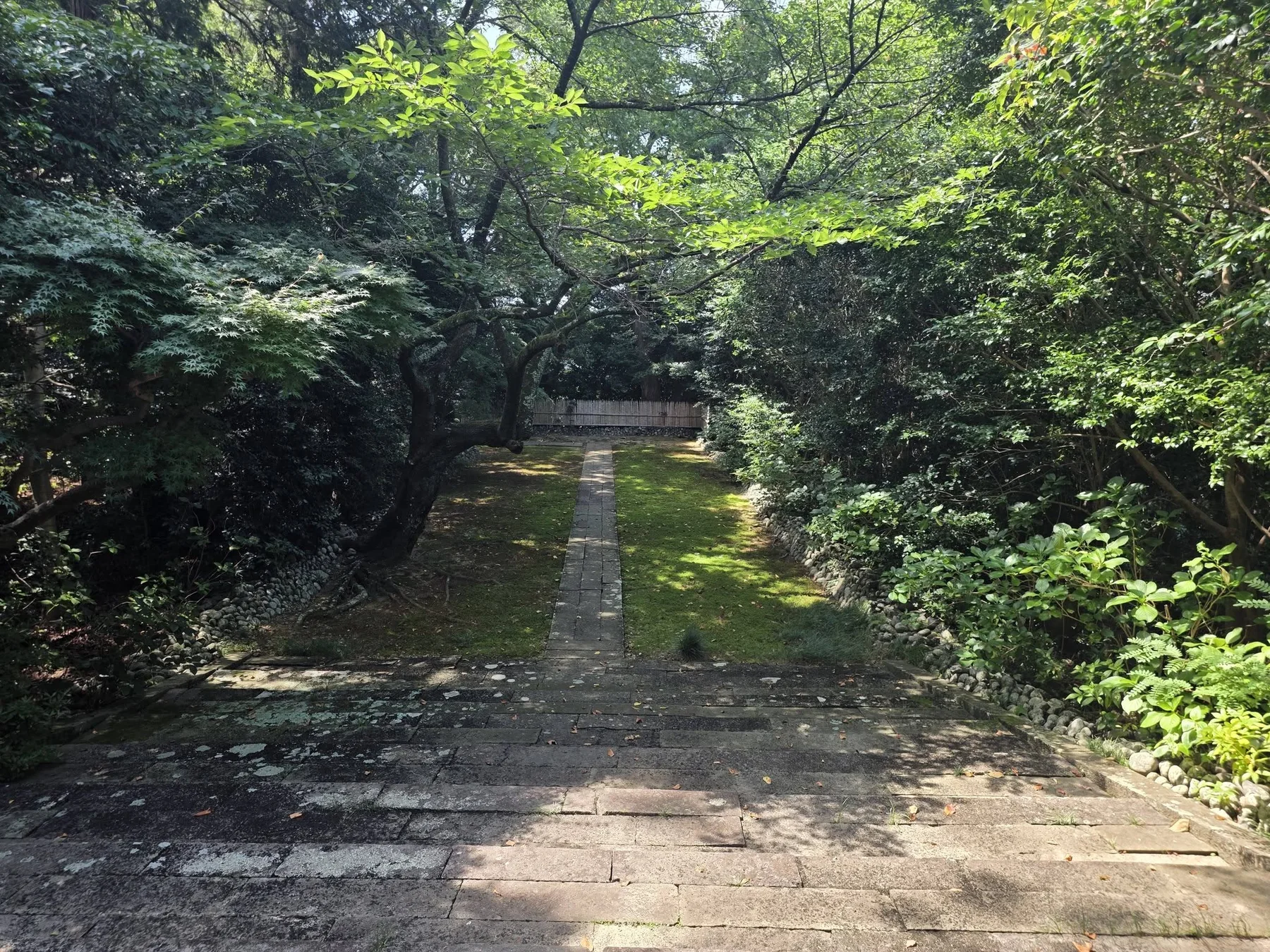 階段上から見る医王寺庭園参道