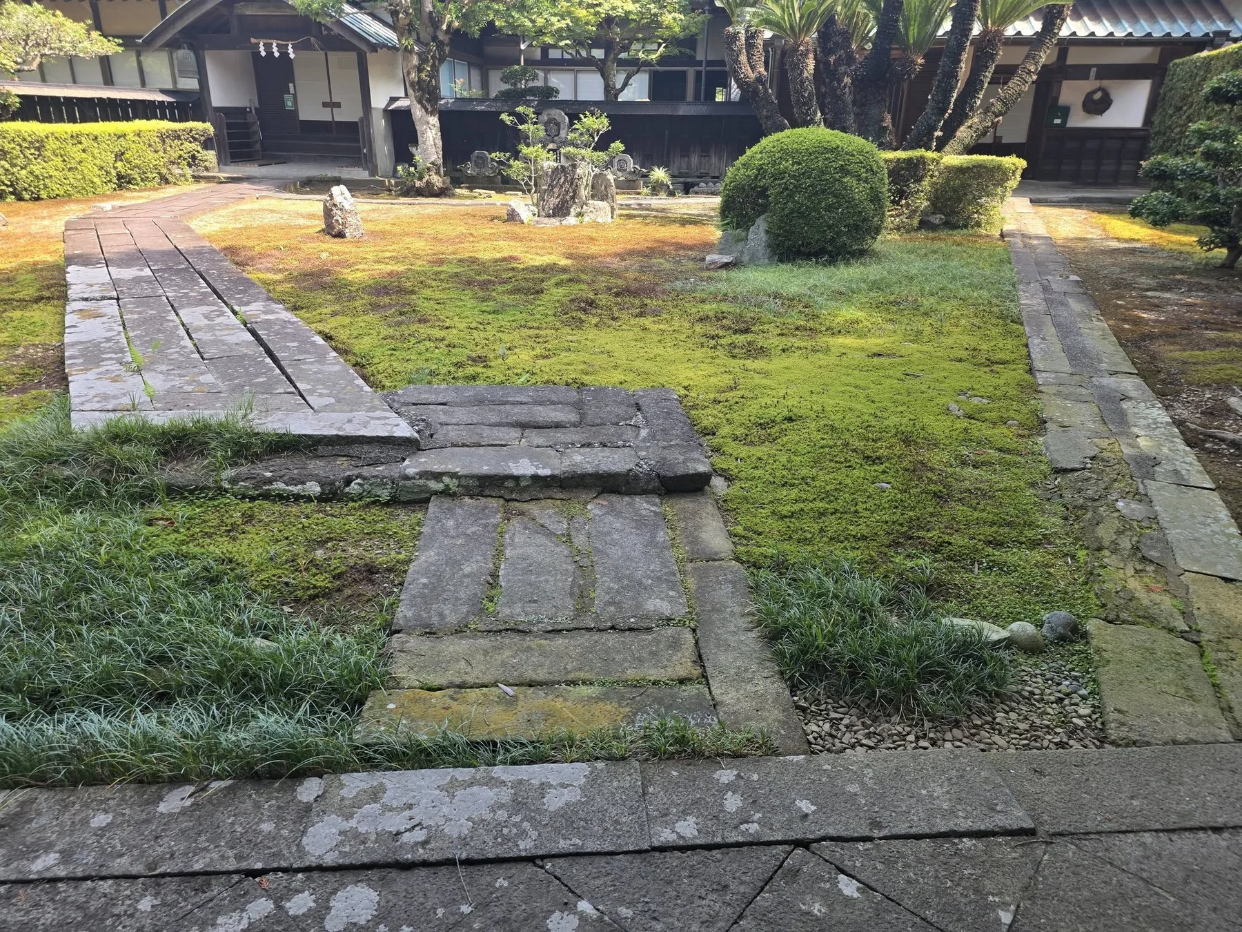 医王寺境内の石敷きと苔