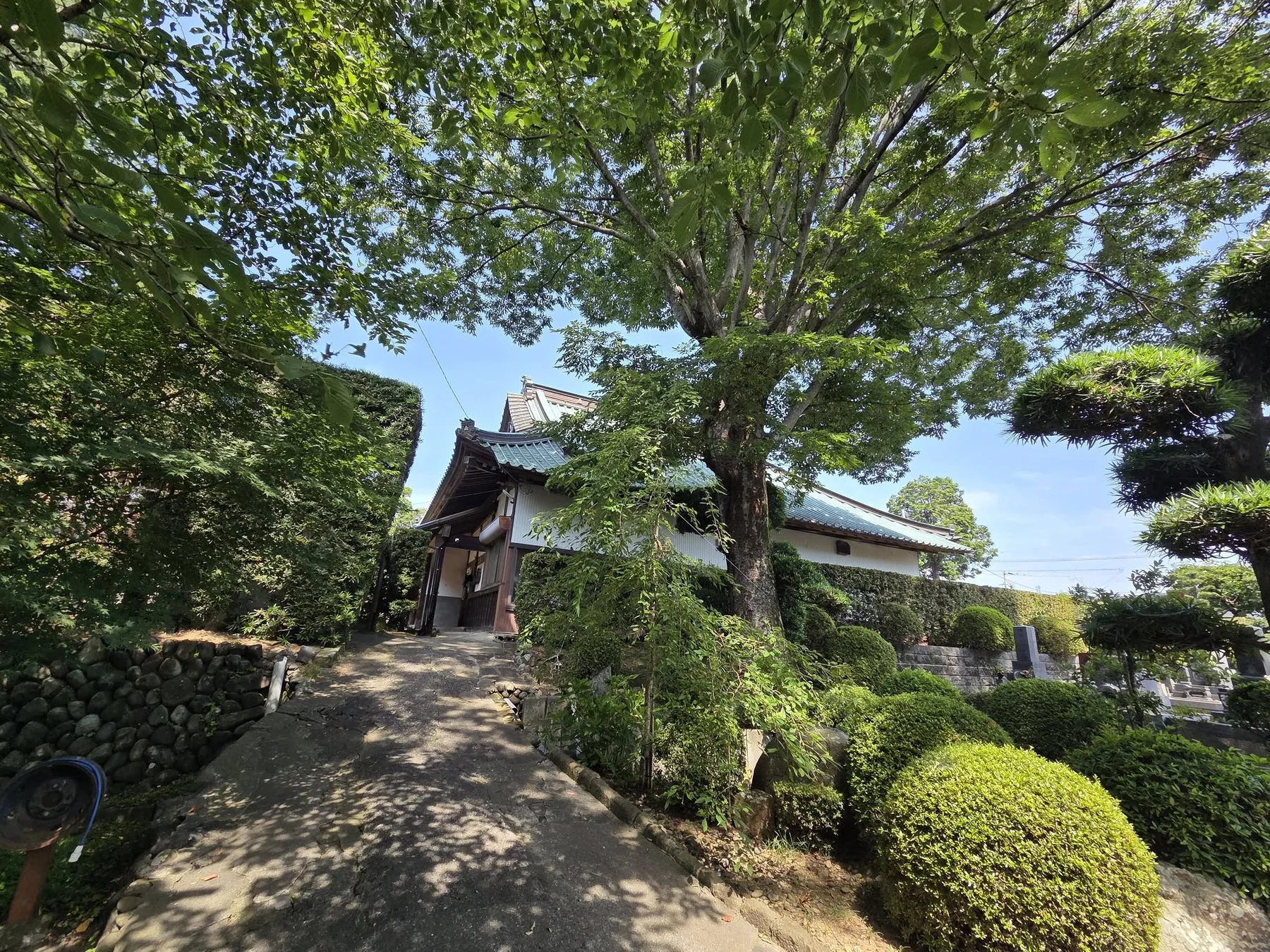 大木の下を進む医王寺の側参道