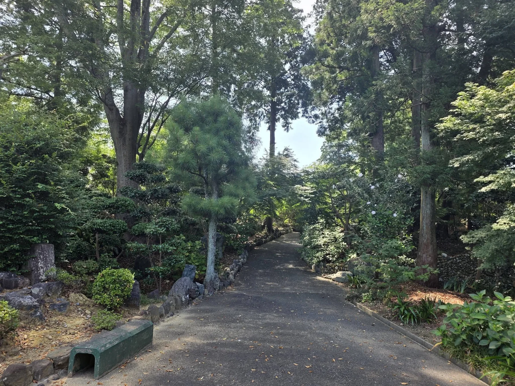 樹木に囲まれた医王寺の参道
