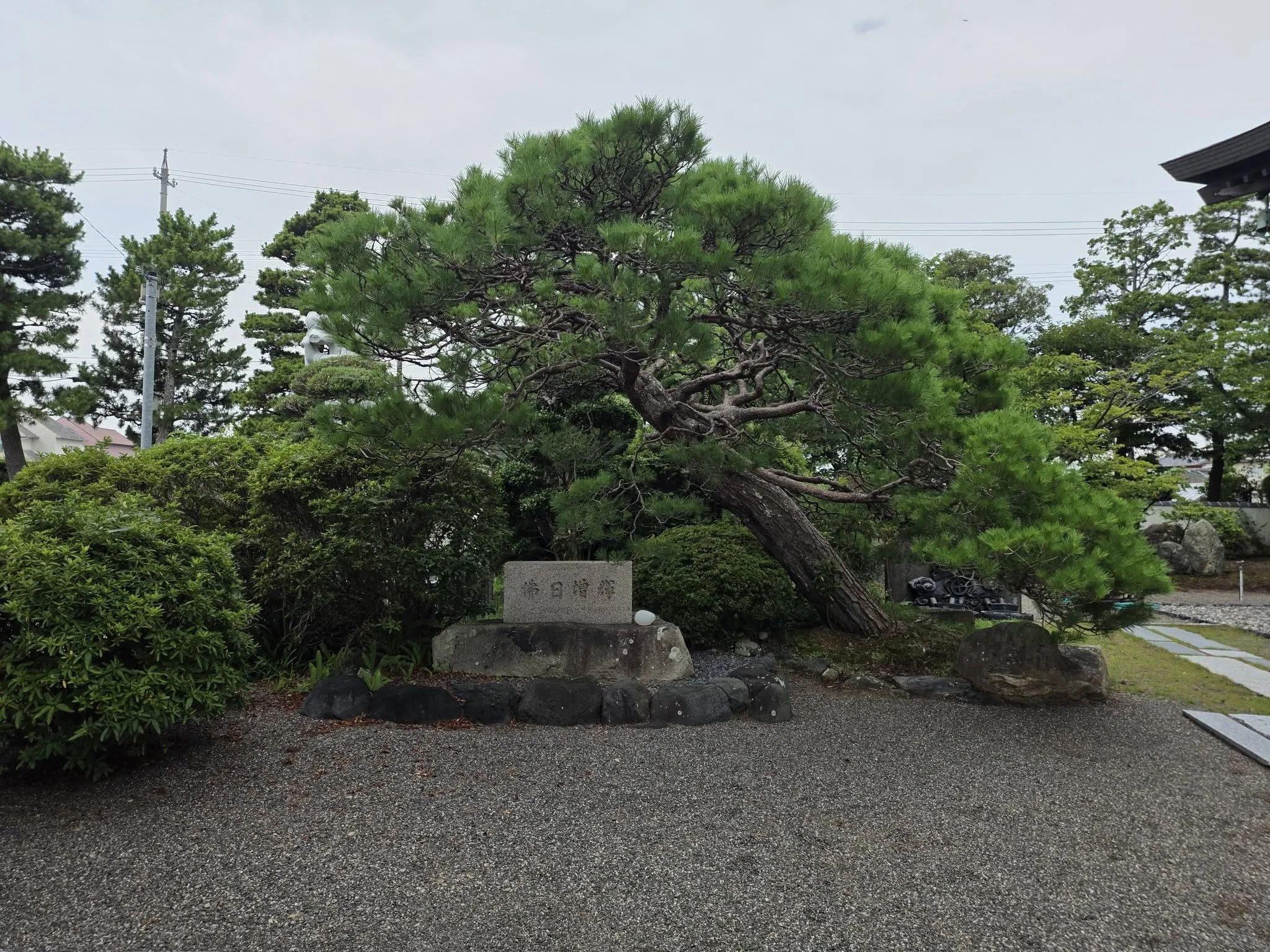 十輪寺庭園の松と石標