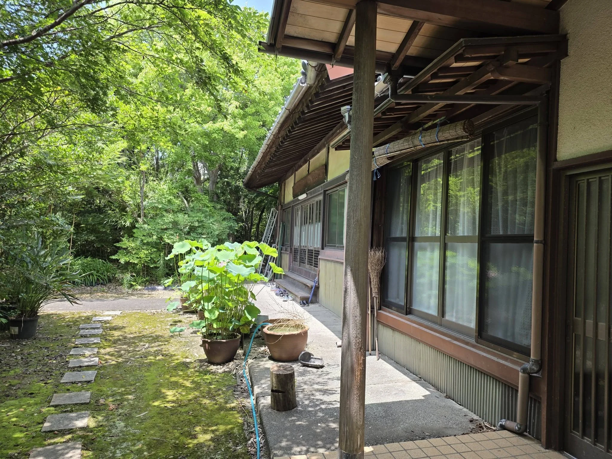 寿正寺の堂宇側面