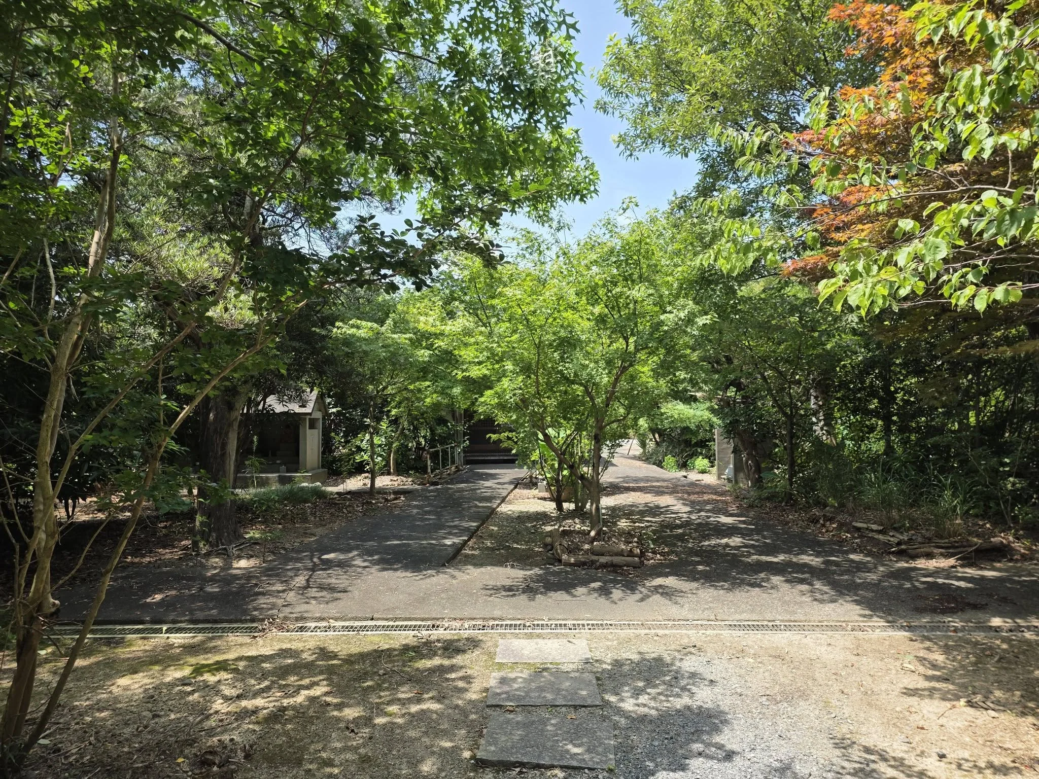 寿正寺本堂前の境内