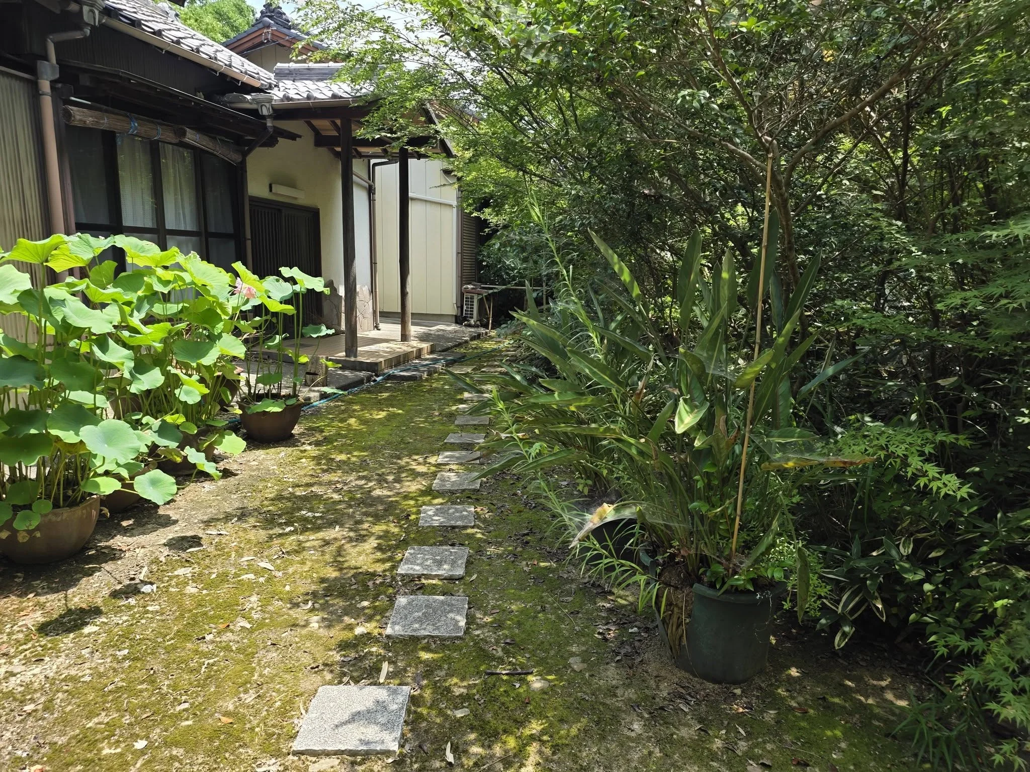 寿正寺境内の庭園脇通路