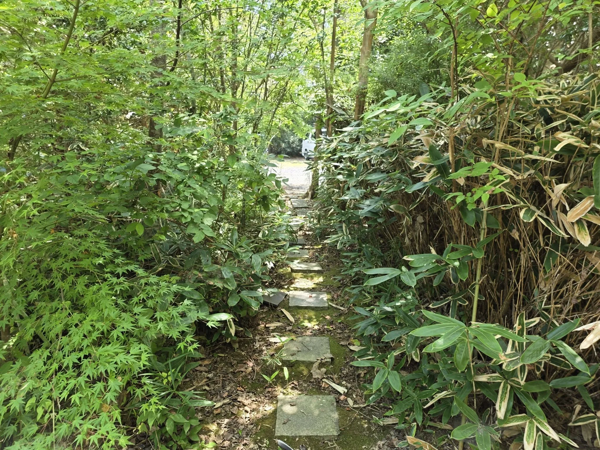 寿正寺境内の木立の小径