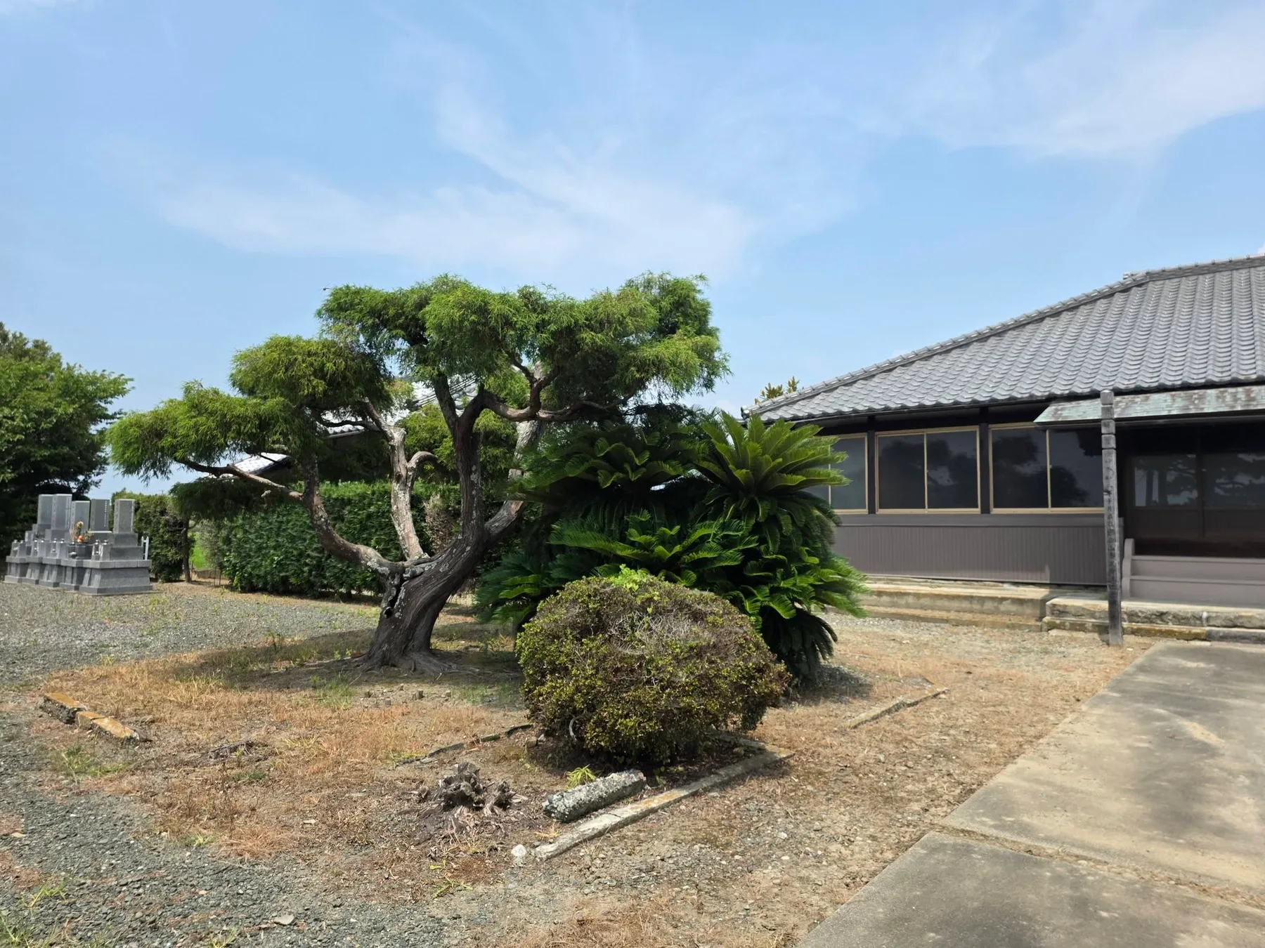 草崎の壽正寺境内と墓域