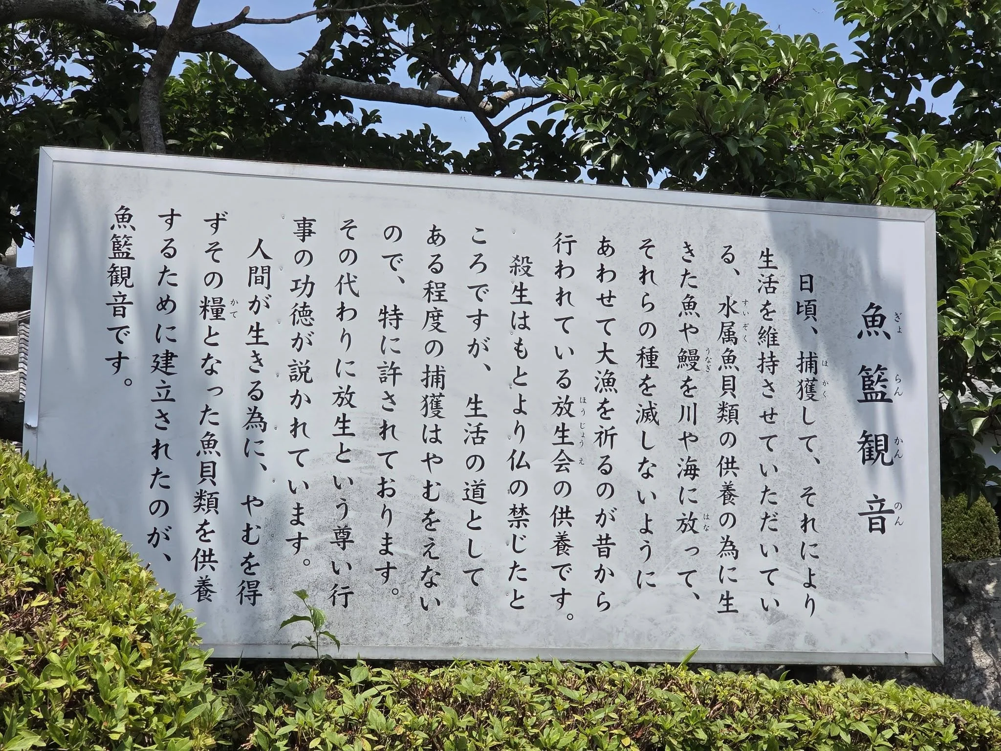 魚籃観音案内