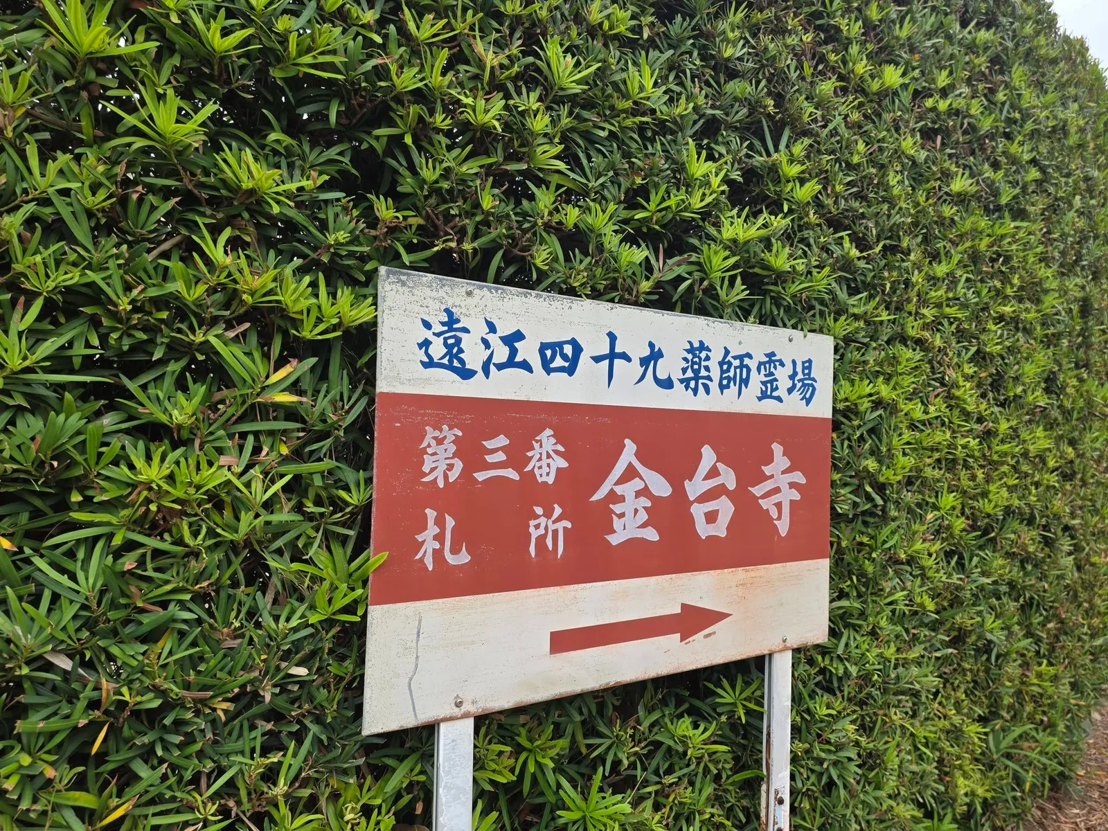 遠江49薬師霊場第3番札所金台寺の案内板