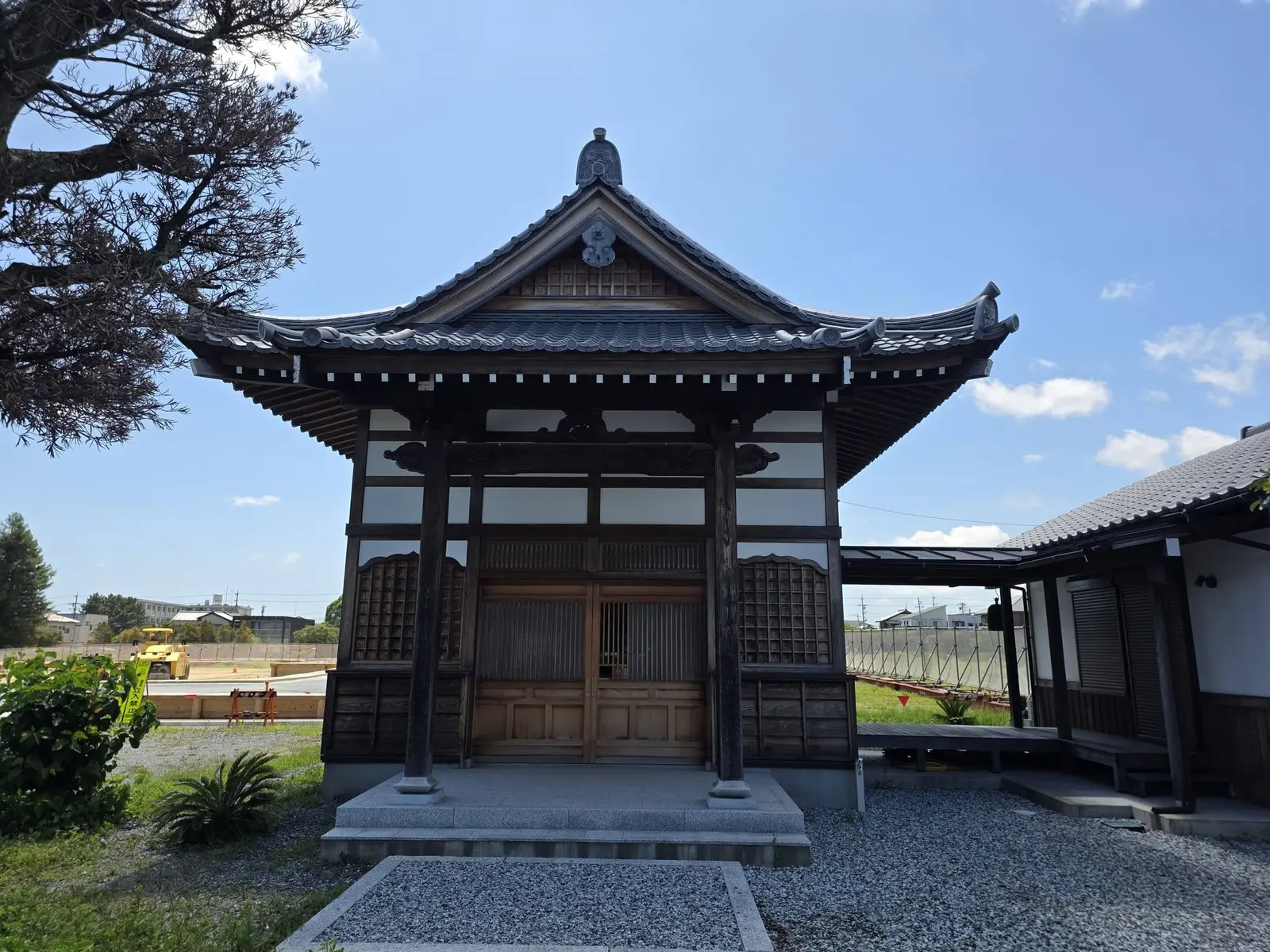 国分寺の主写真