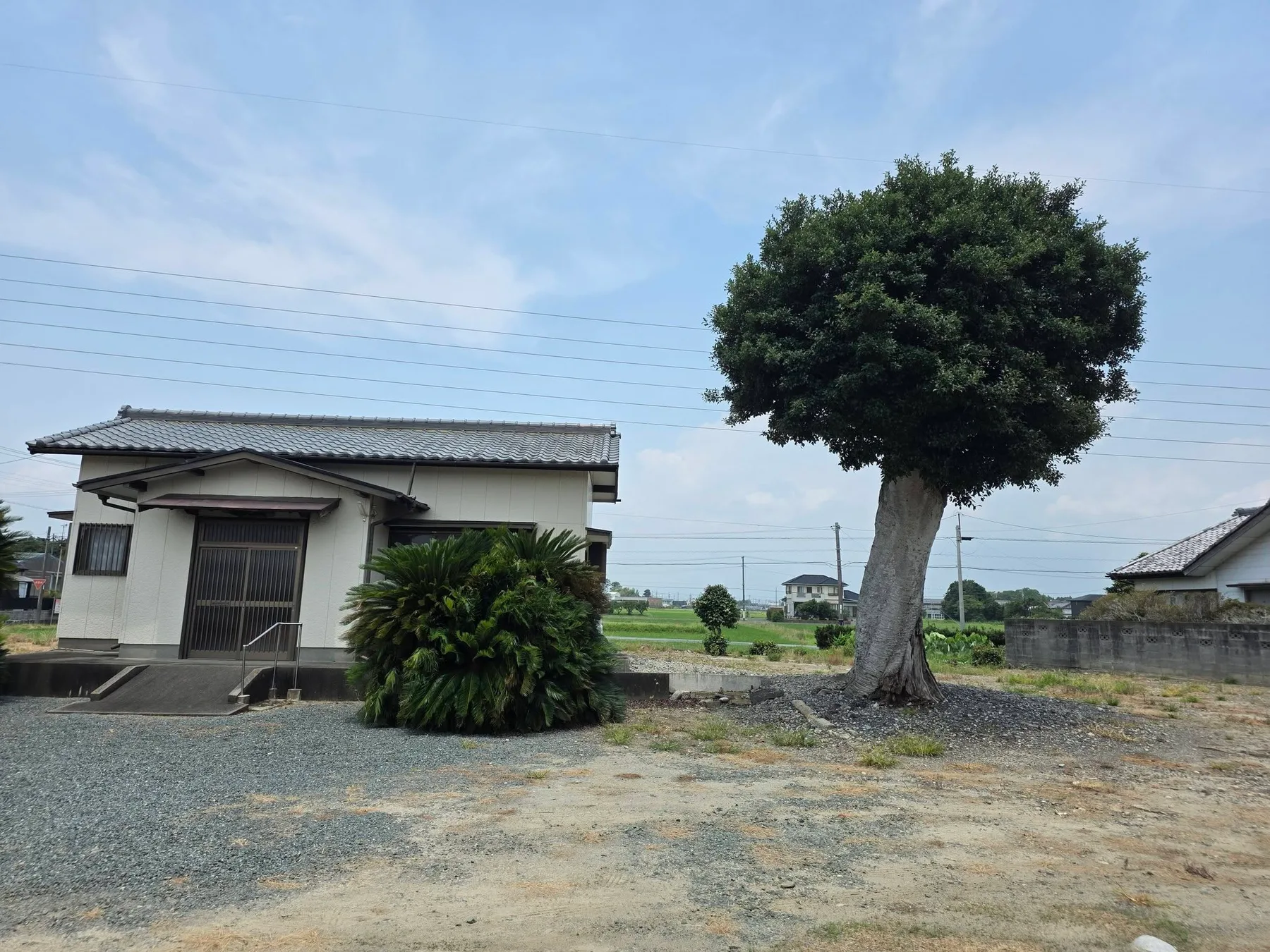 萬然寺堂宇と境内樹木、周辺耕地