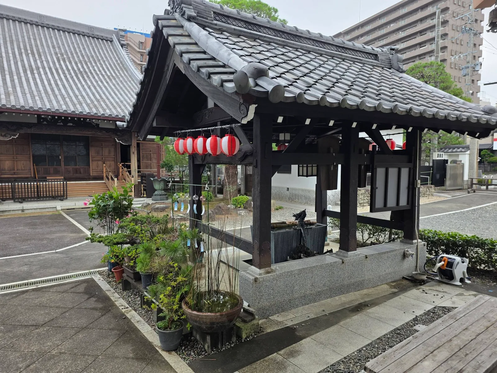 満徳寺の手水舎と本堂