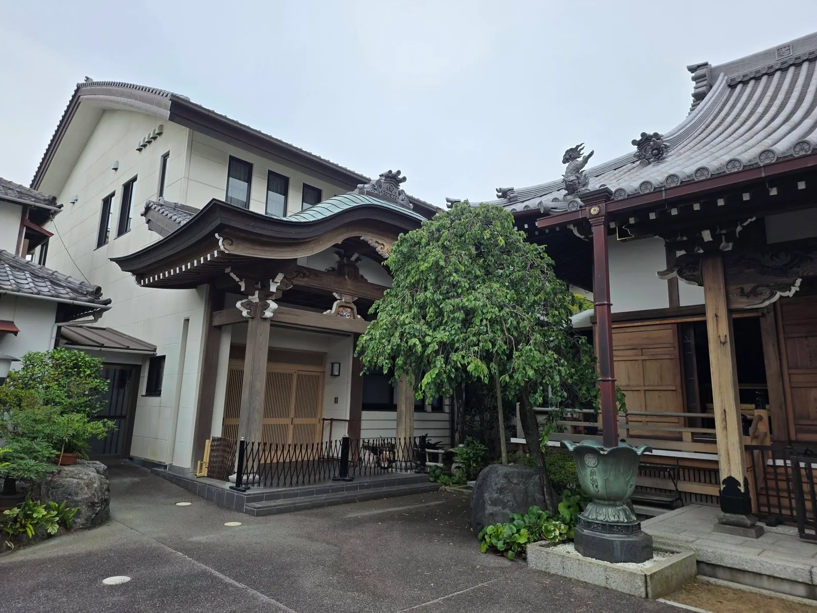 満徳寺本堂側面と境内建物