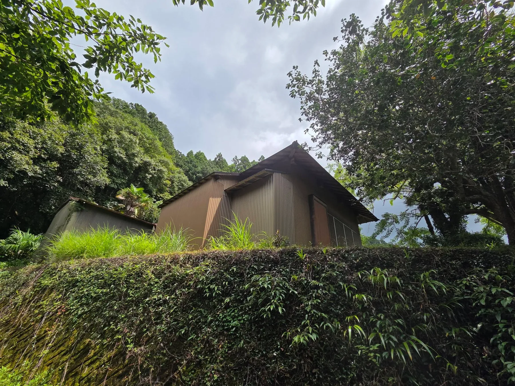 虫生寺の現地写真4