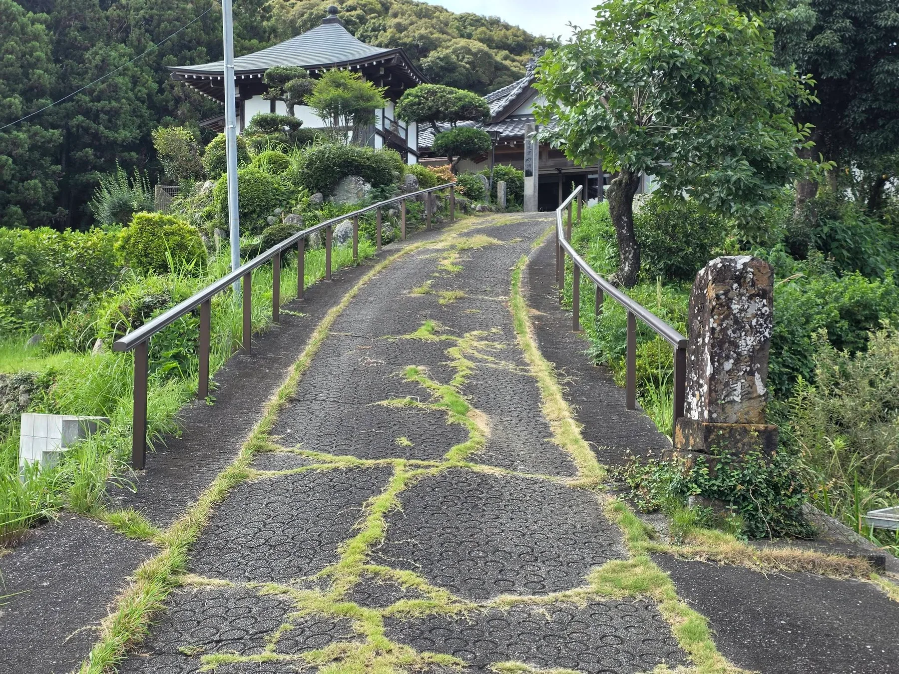 道路から妙満寺堂宇へ上る参道