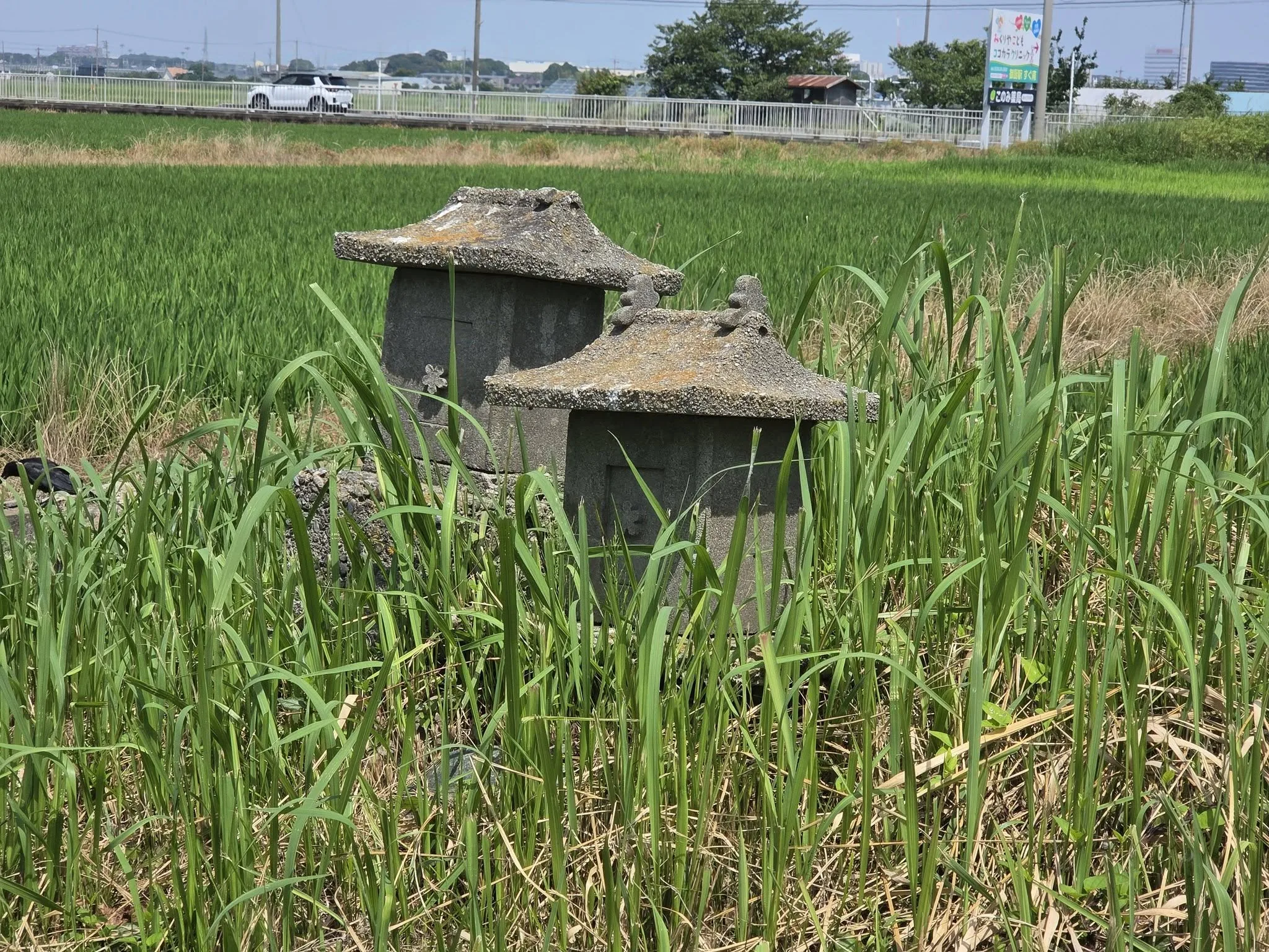 田の畔に残る石祠