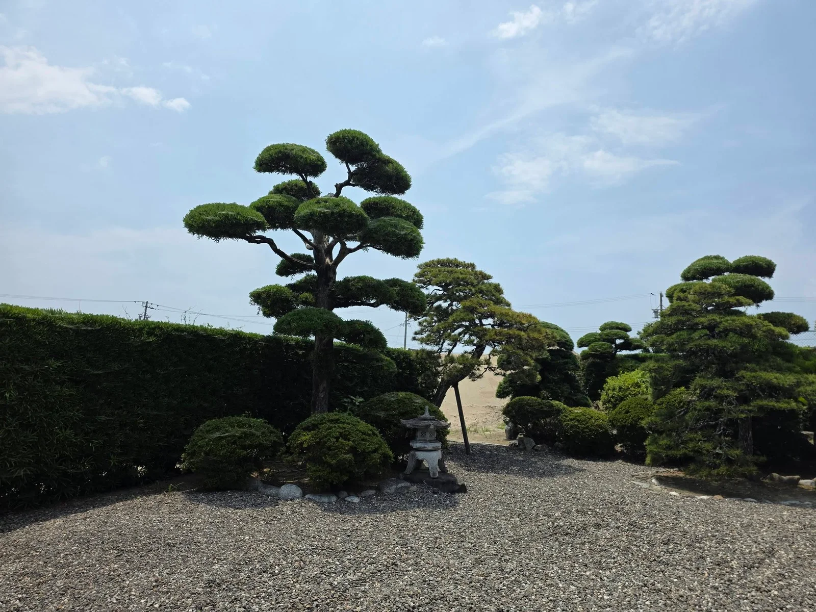 蓮覚寺の山門と境内