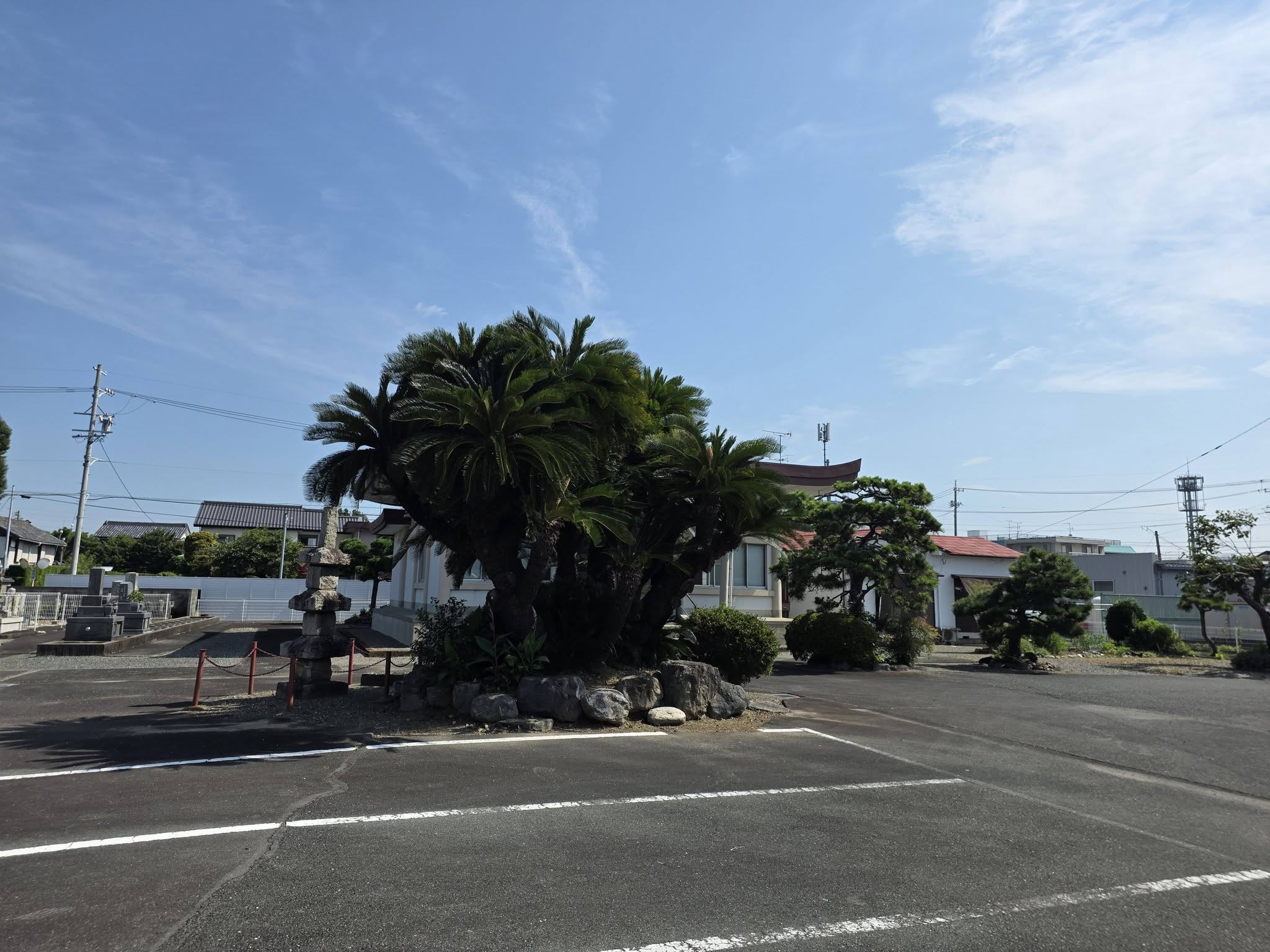 磐田市小立野の林昌寺現況写真7