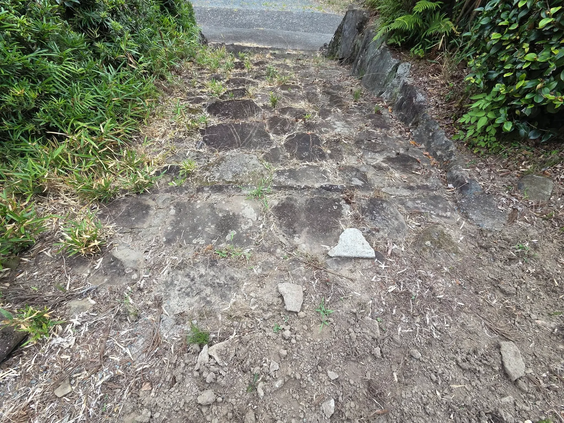 龍雲庵の現地写真6