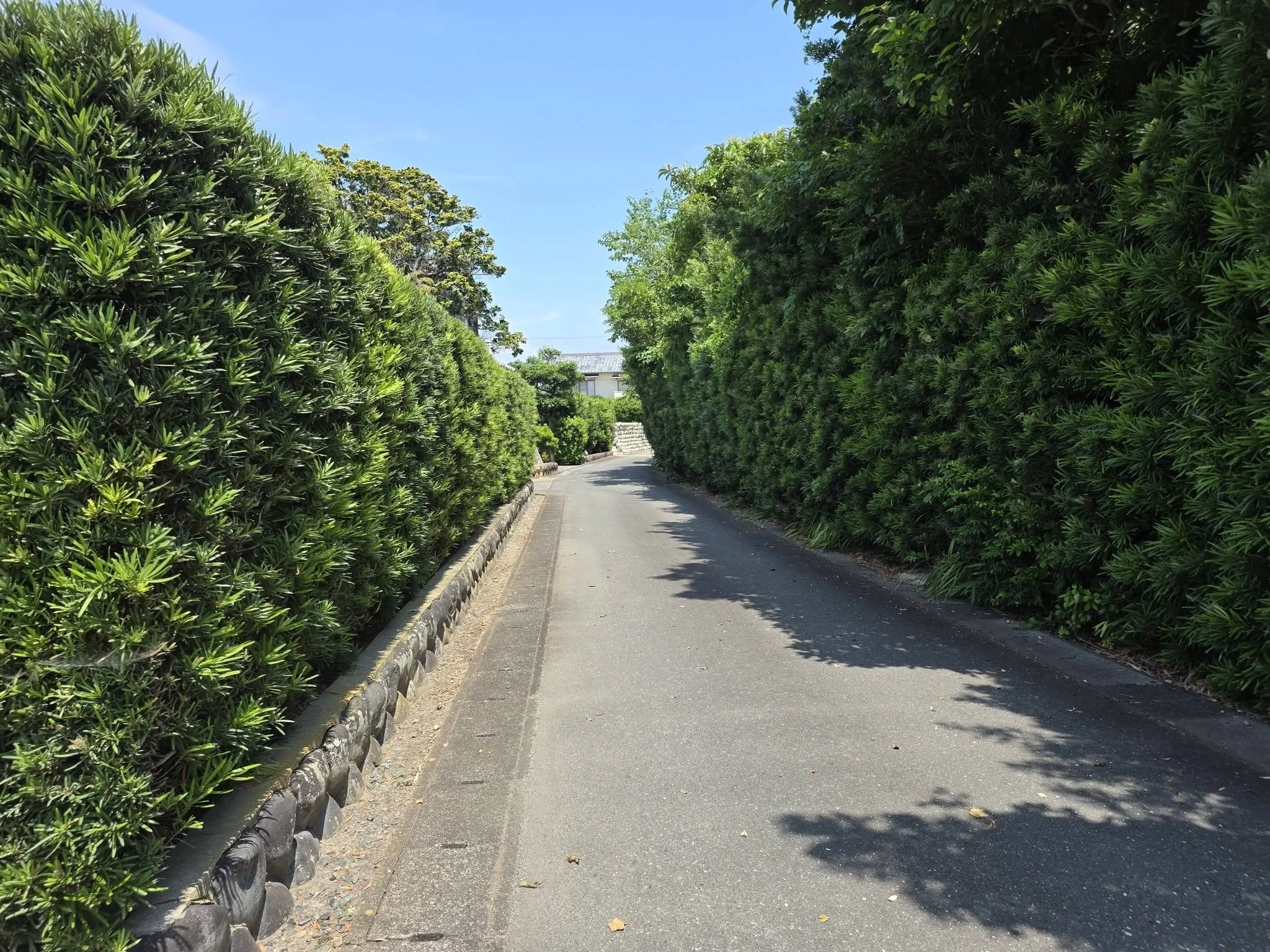 龍法院への参道