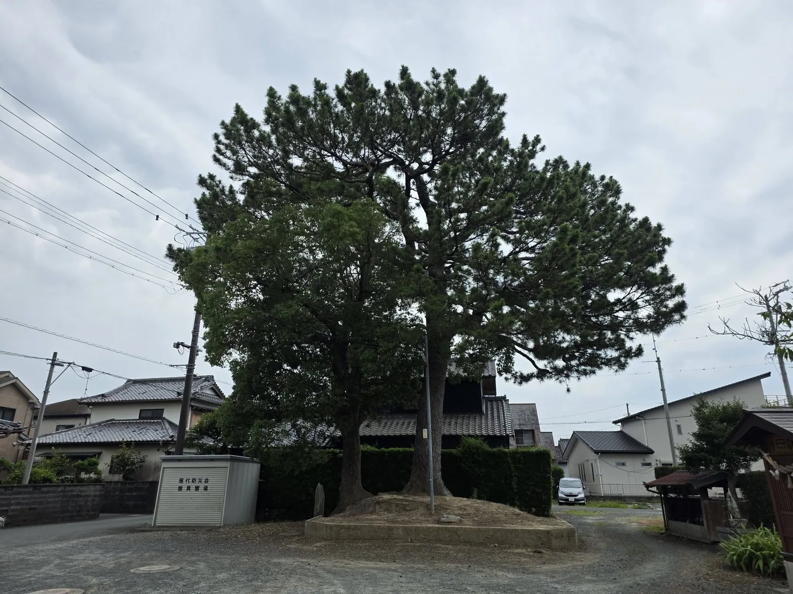 竜雲寺境内の大木と雁代防災会備蓄倉庫