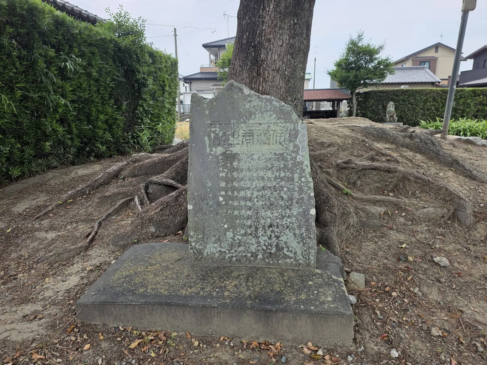 竜雲寺境内の大木根元にある石碑