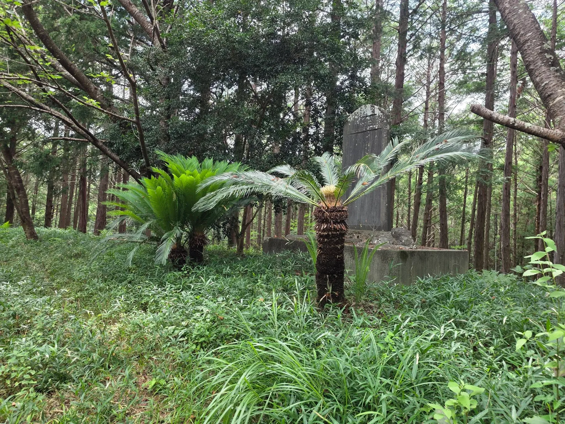 清凉院の現地写真2
