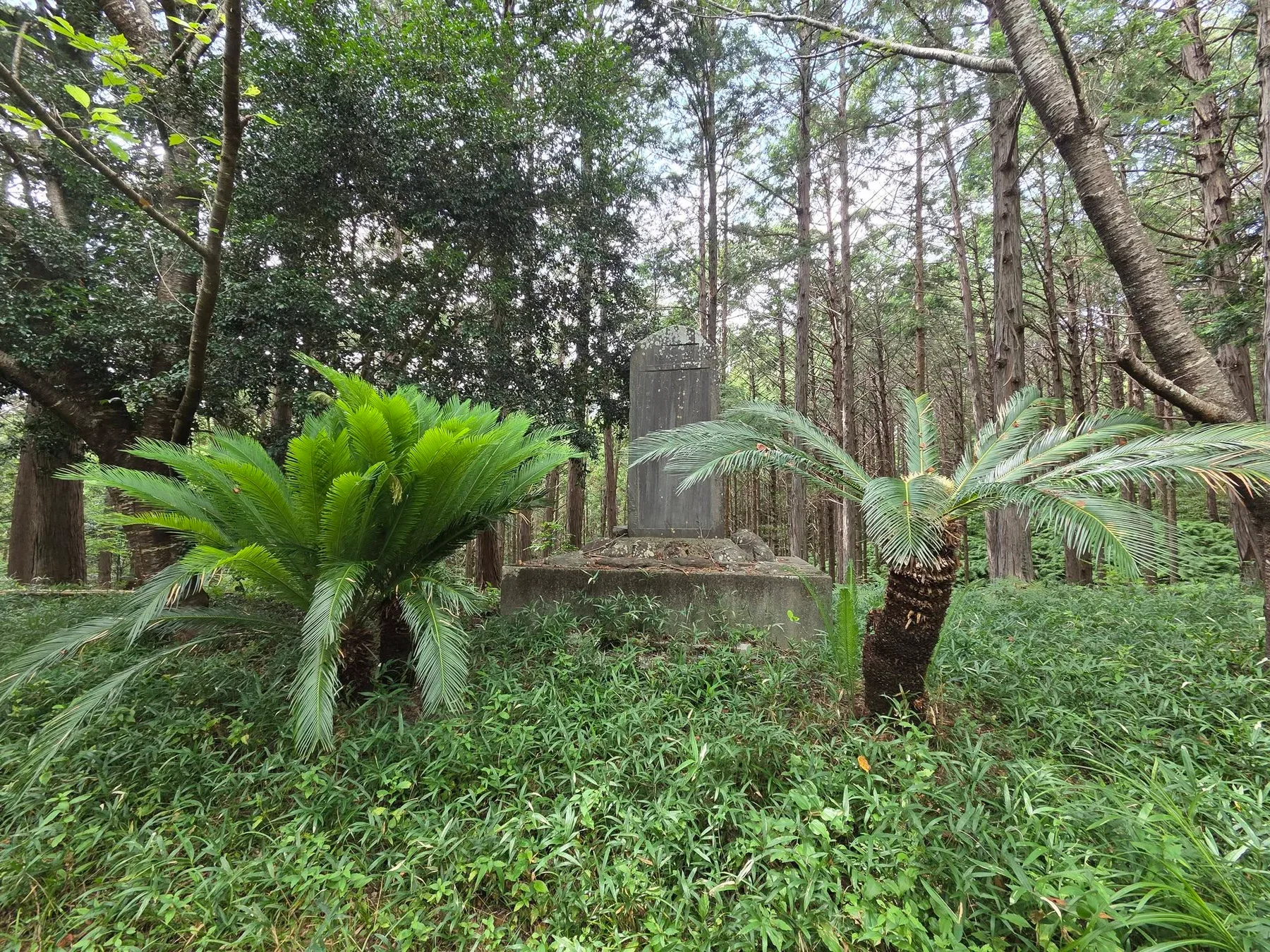 清凉院の現地写真3