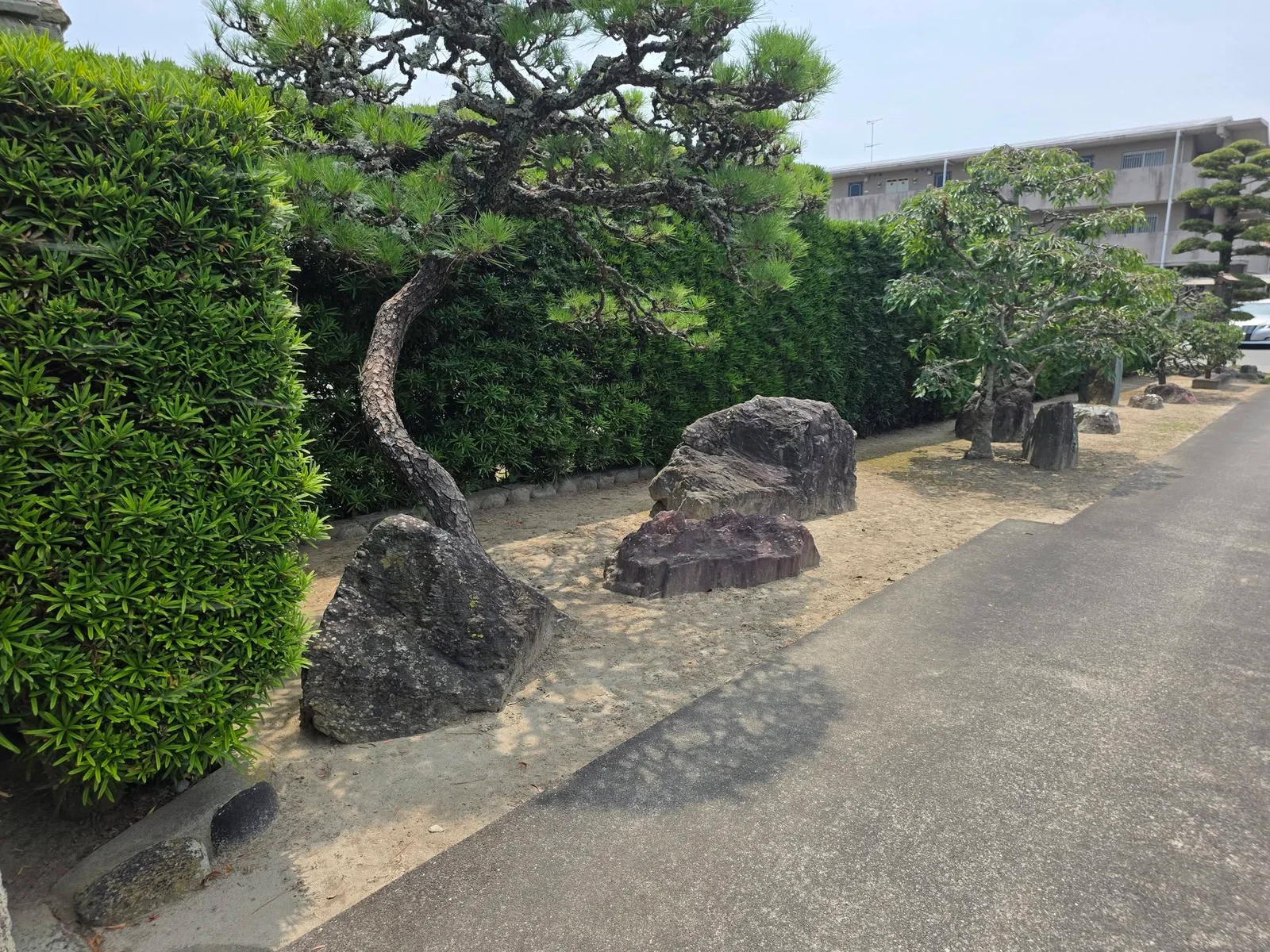 潜龍寺境内の庭石と植栽
