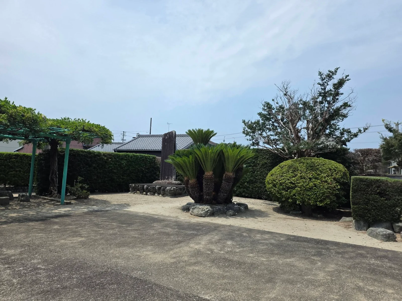 潜龍寺境内のソテツと石碑