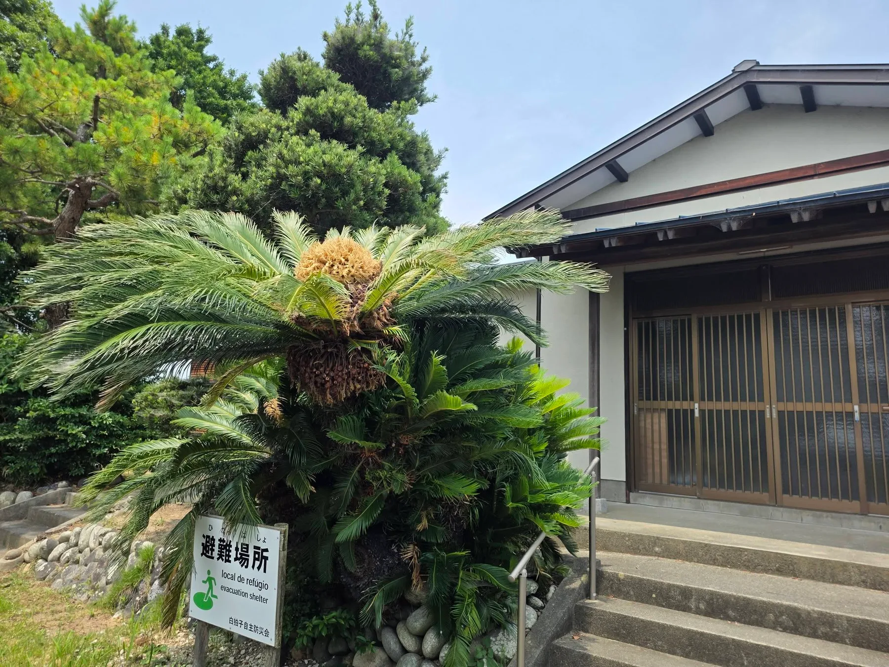 白拍子自治会の避難場所表示