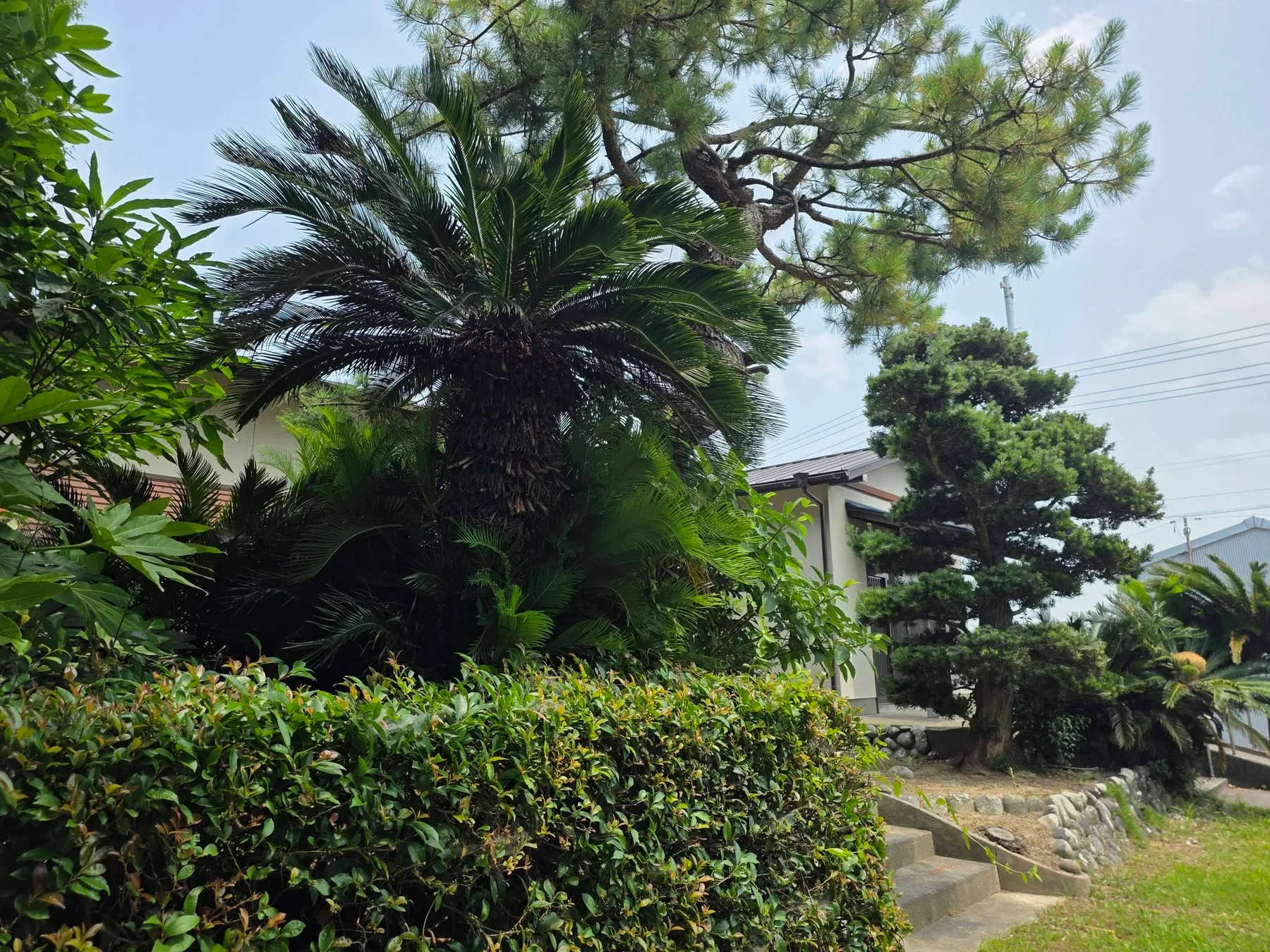 正光寺境内周辺の庭園景観