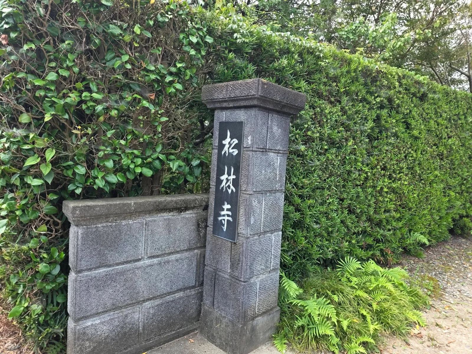竜洋地区の松林寺