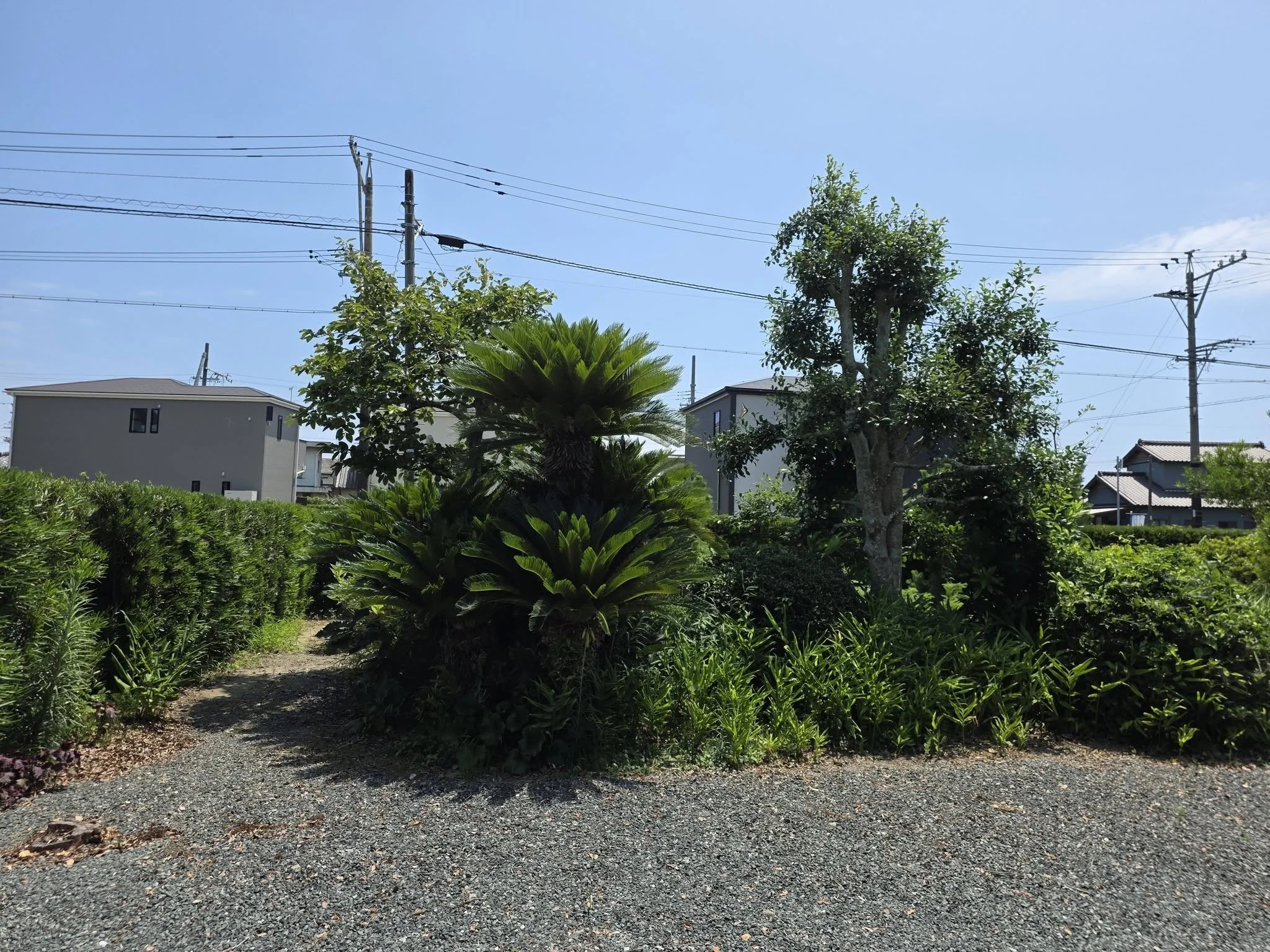 多聞寺境内入口の植栽と周辺環境