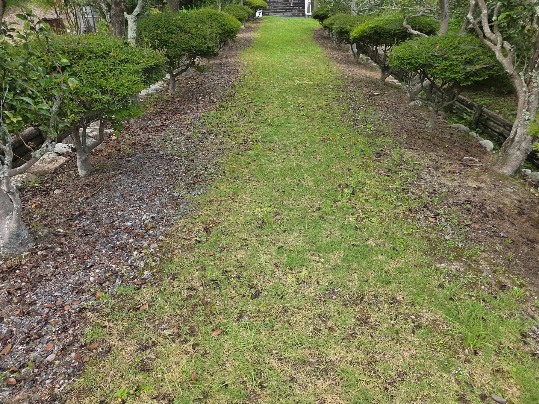 磐田市上野部の神谷山天龍院現況記録9