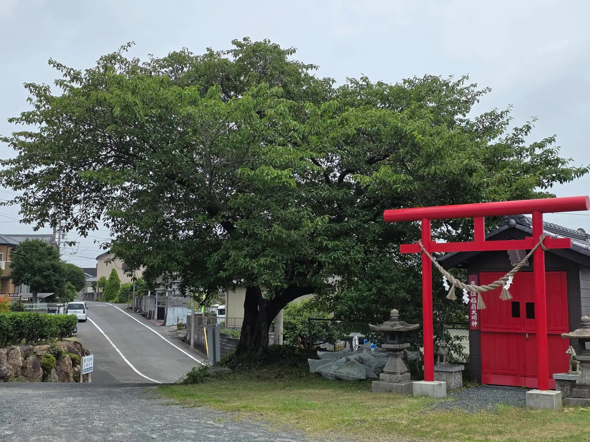 徳翁院境内入口の樹木と稲荷社鳥居