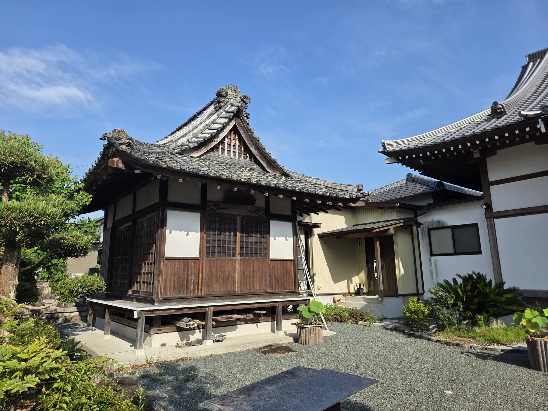 全海寺境内の堂宇と庭木