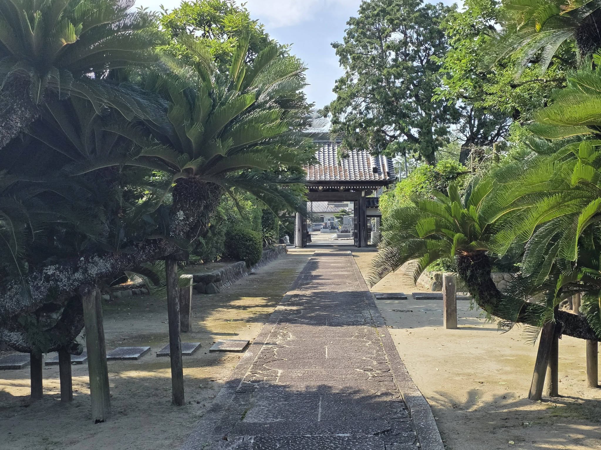 増参寺の参道と境内景観