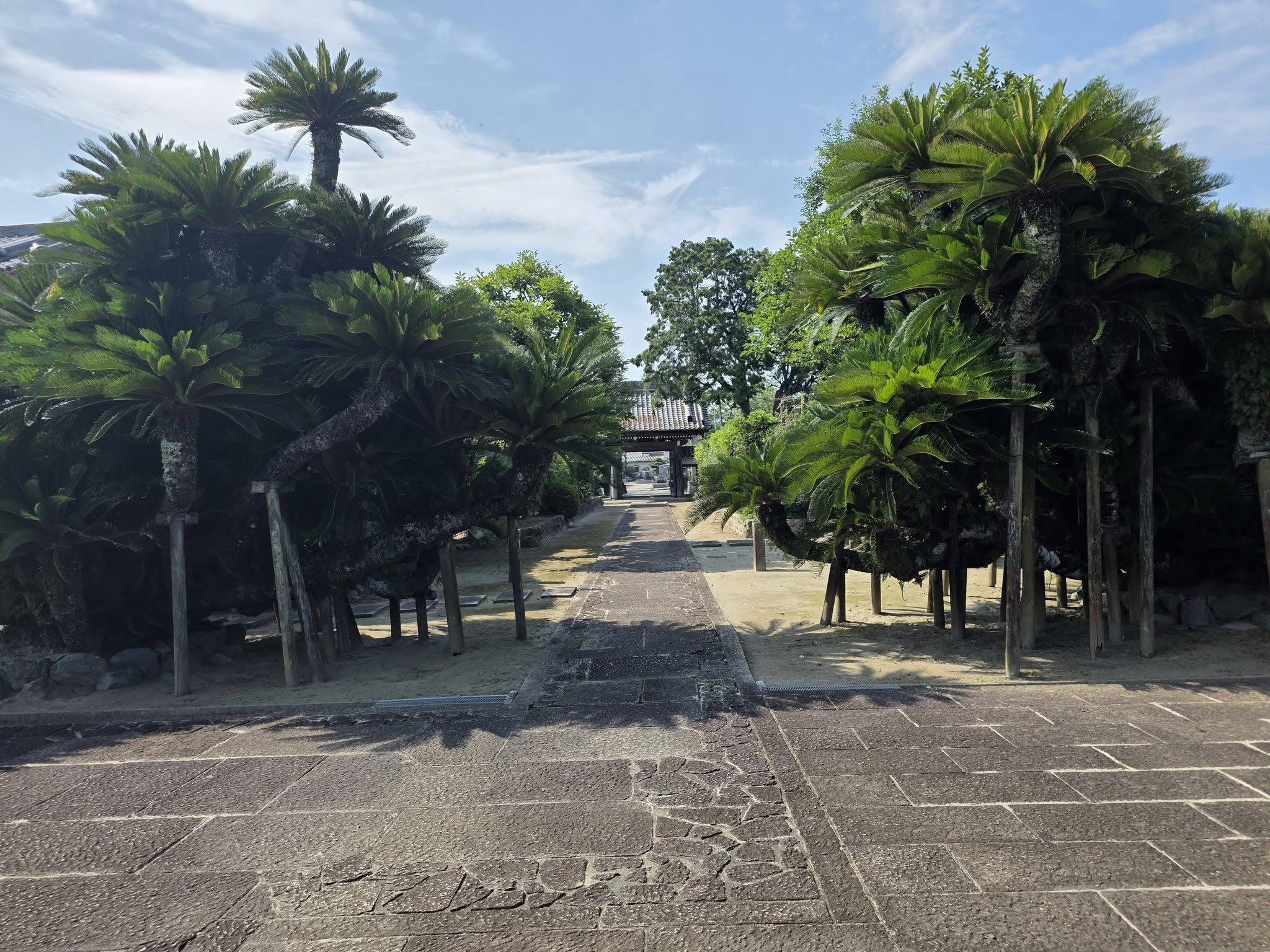 増参寺の現地写真（16）